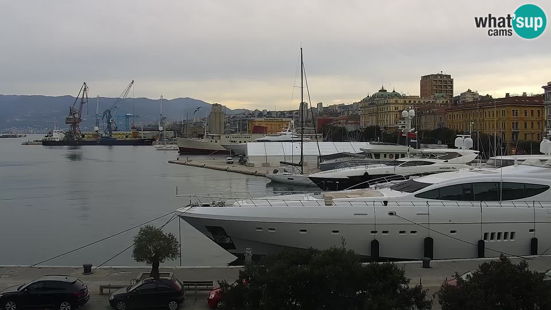 Riva i Marina u Rijeci – Web kamera uživo u Hrvatskoj