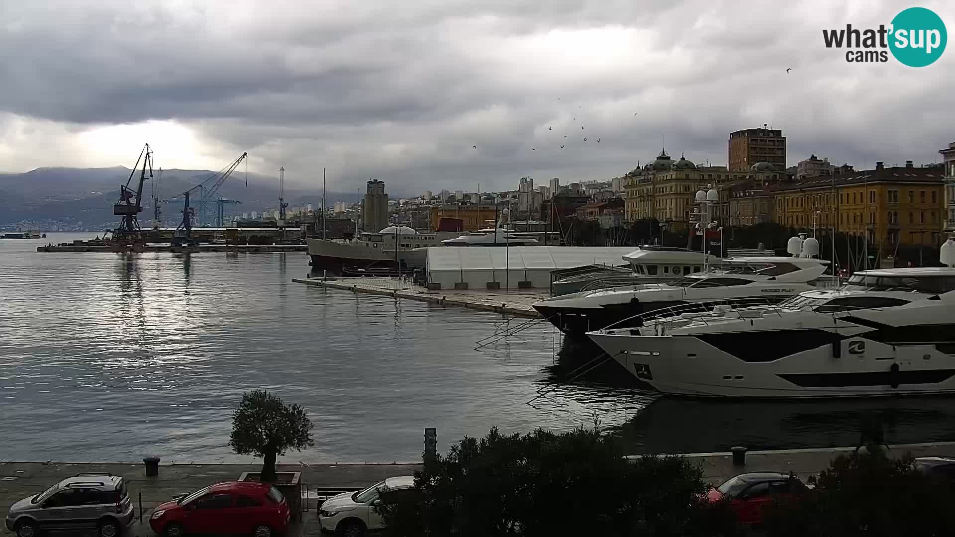 Die Riva und Marina in Rijeka – Live Webcam Kroatien