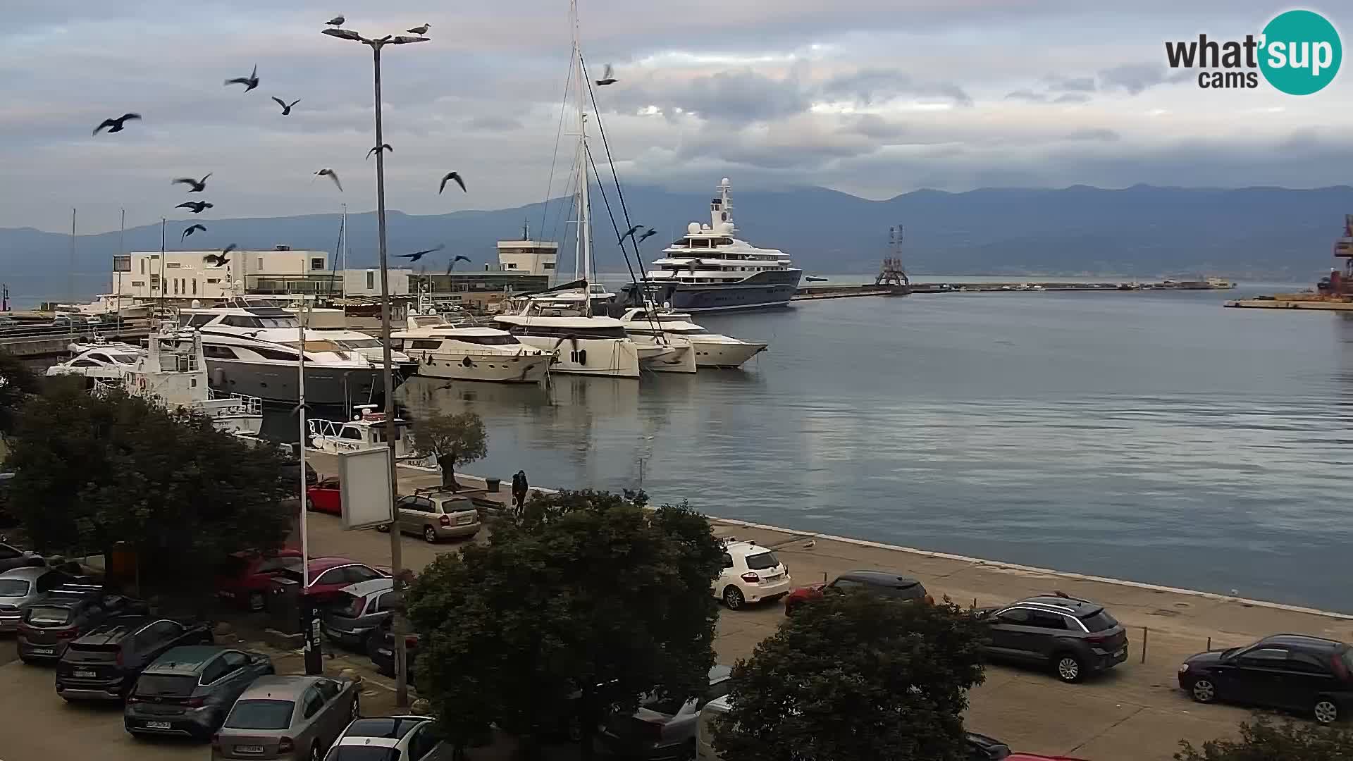 La Riva e la Marina a Rijeka (Fiume) – Live Webcam Croazia