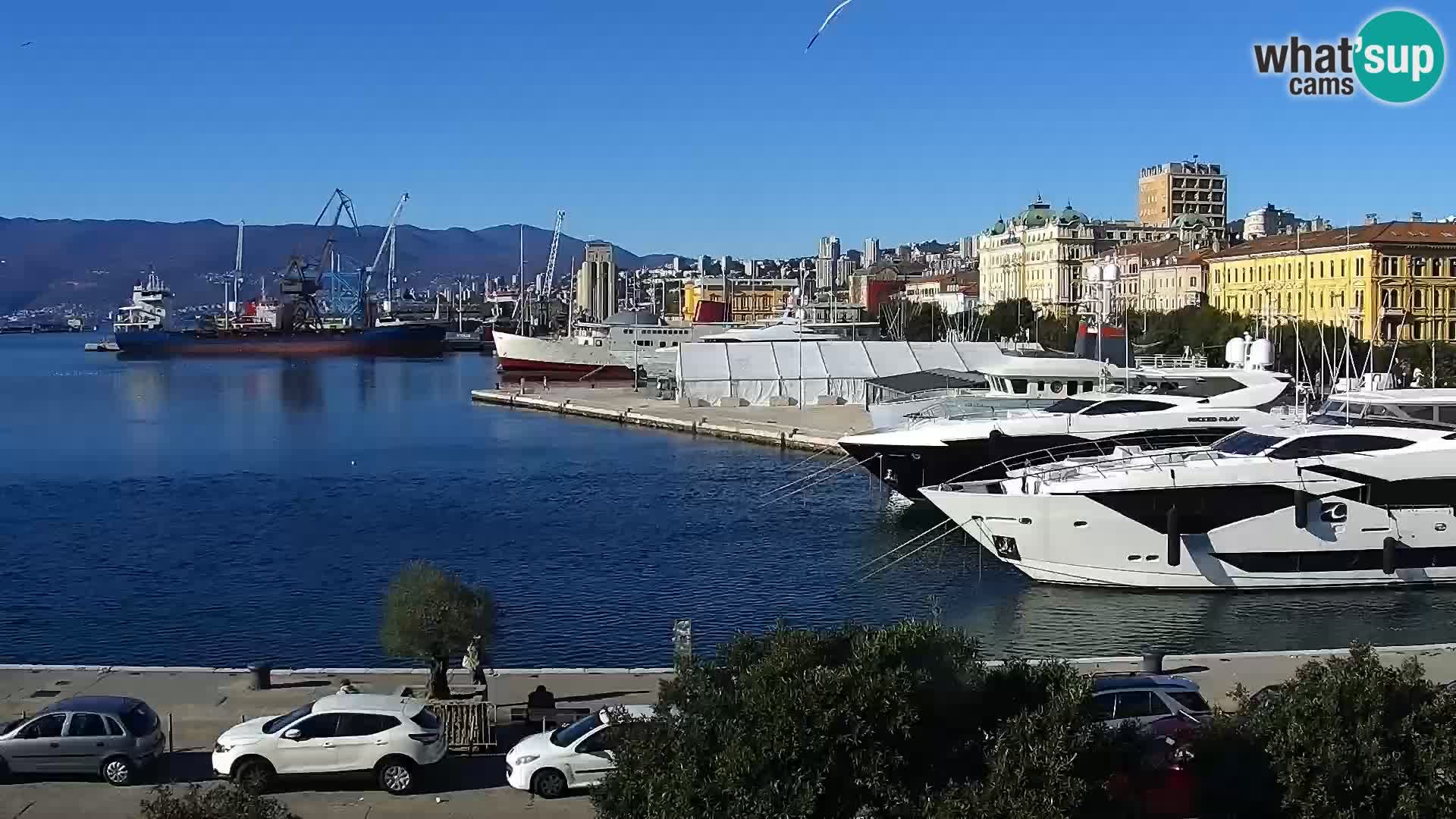 Die Riva und Marina in Rijeka – Live Webcam Kroatien