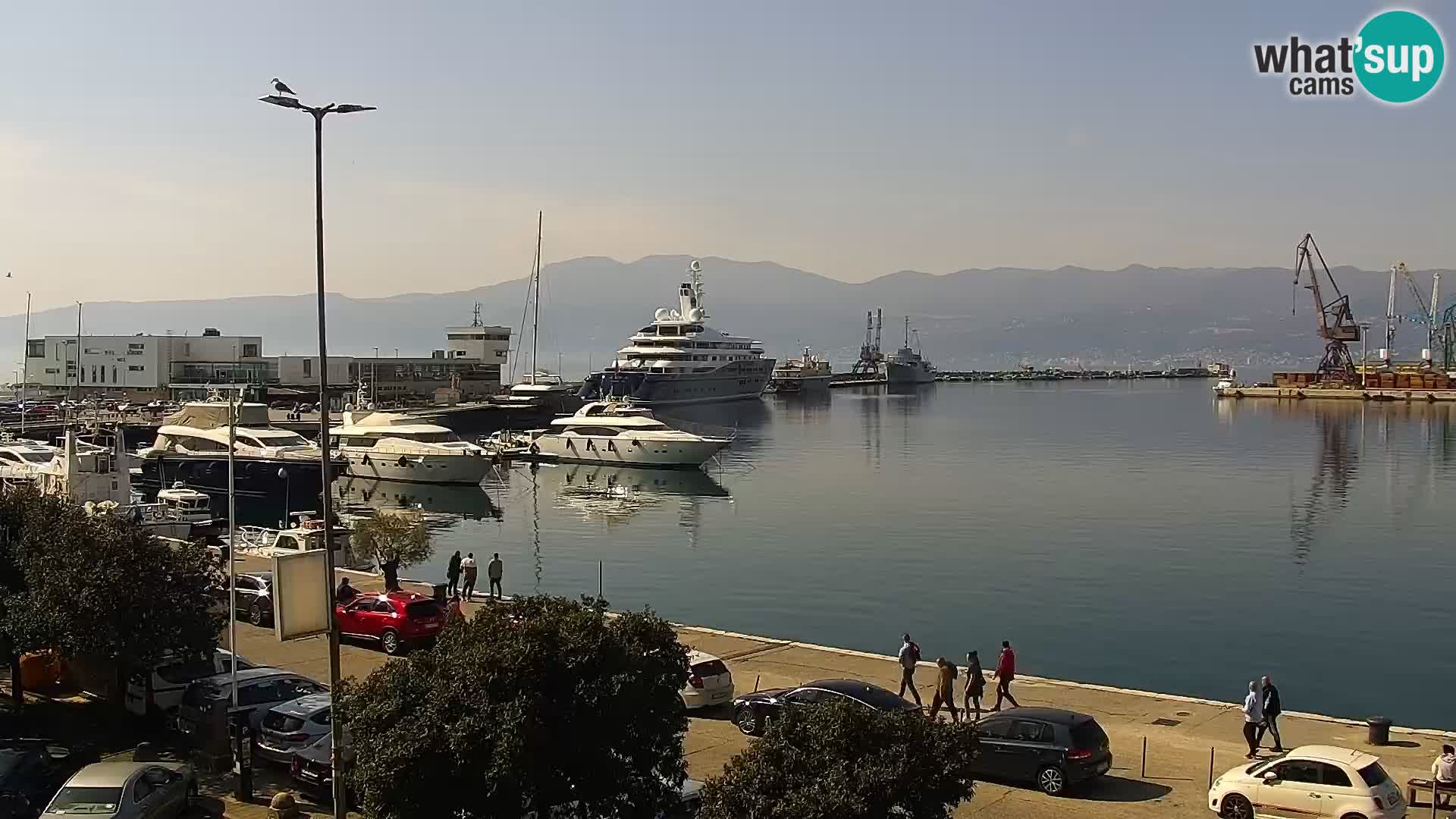 Riva in Marina v Reki – Spletna kamera v živo Hrvaška