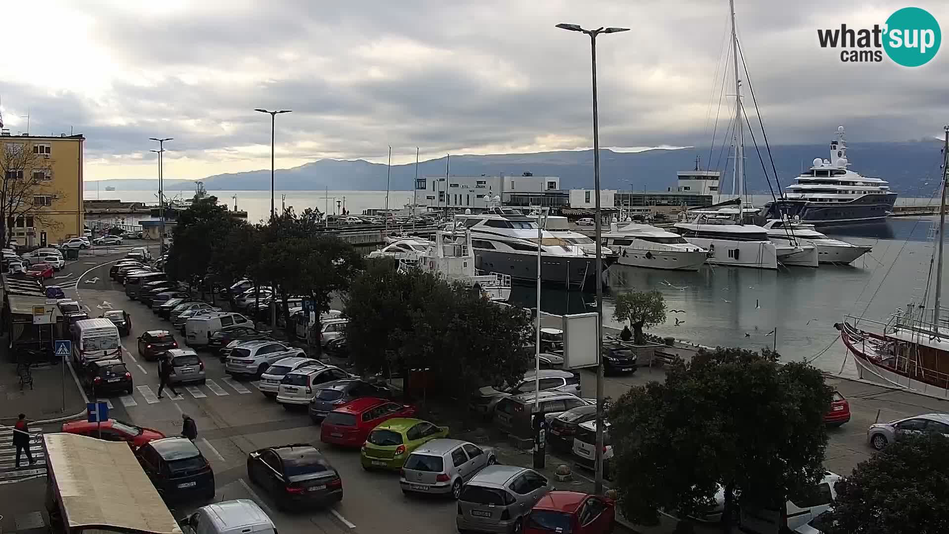 The Riva and Marina in Rijeka  – Live Webcam Croatia