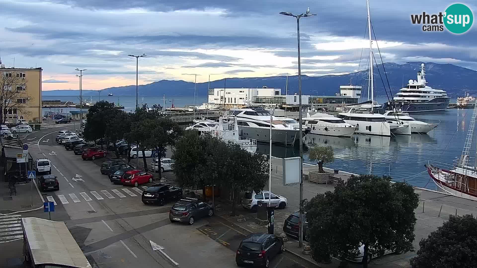 The Riva and Marina in Rijeka  – Live Webcam Croatia