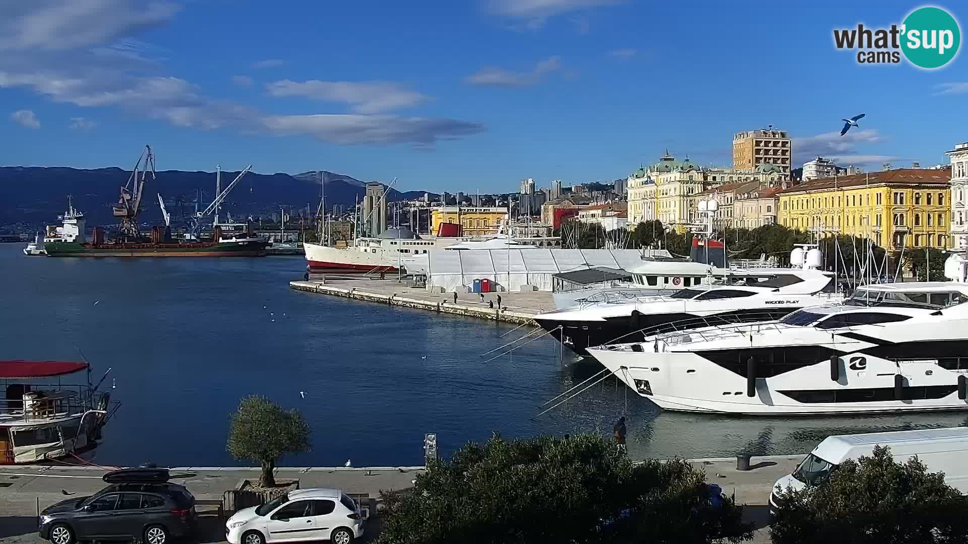 Riva in Marina v Reki – Spletna kamera v živo Hrvaška