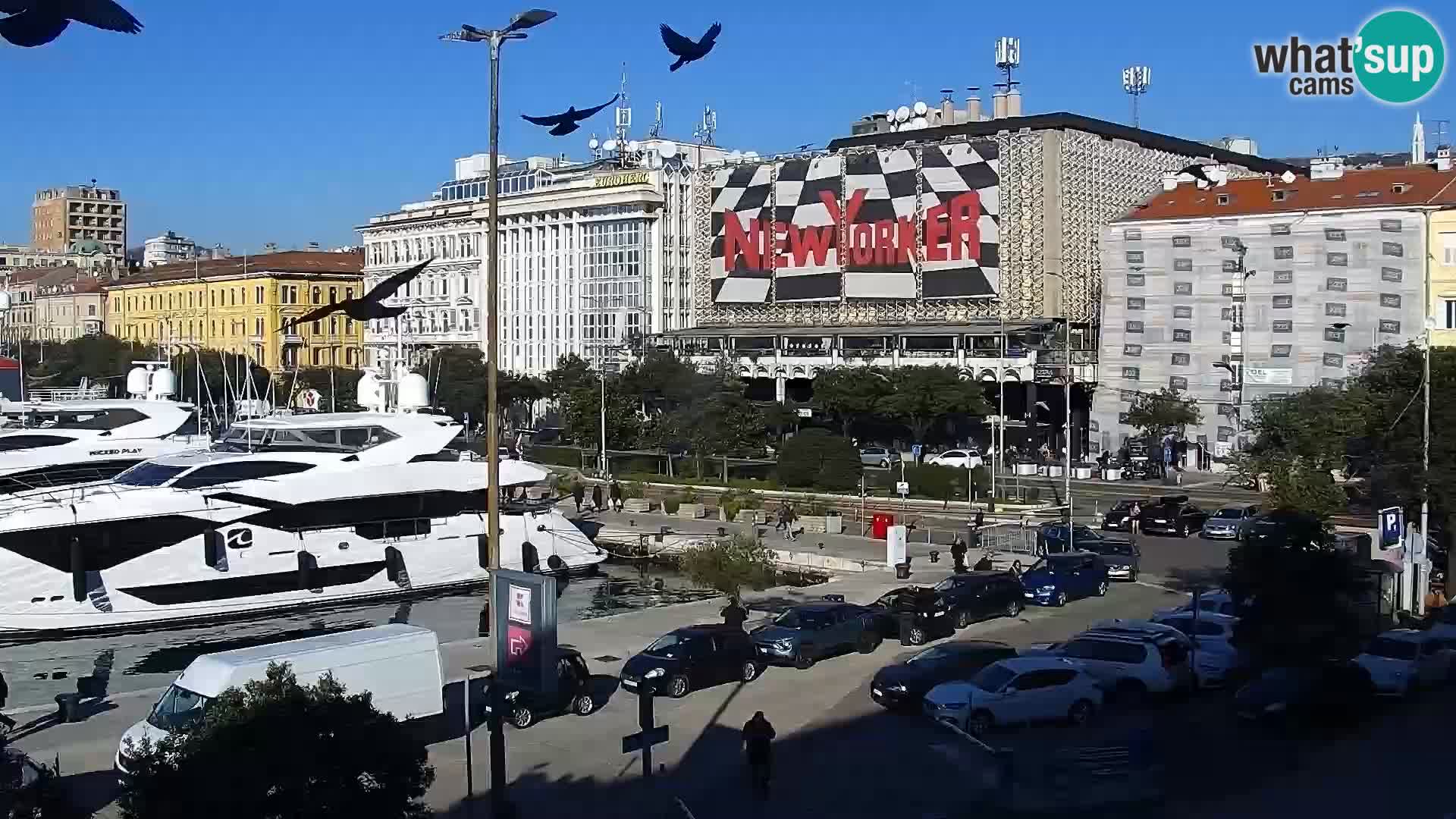 The Riva and Marina in Rijeka  – Live Webcam Croatia