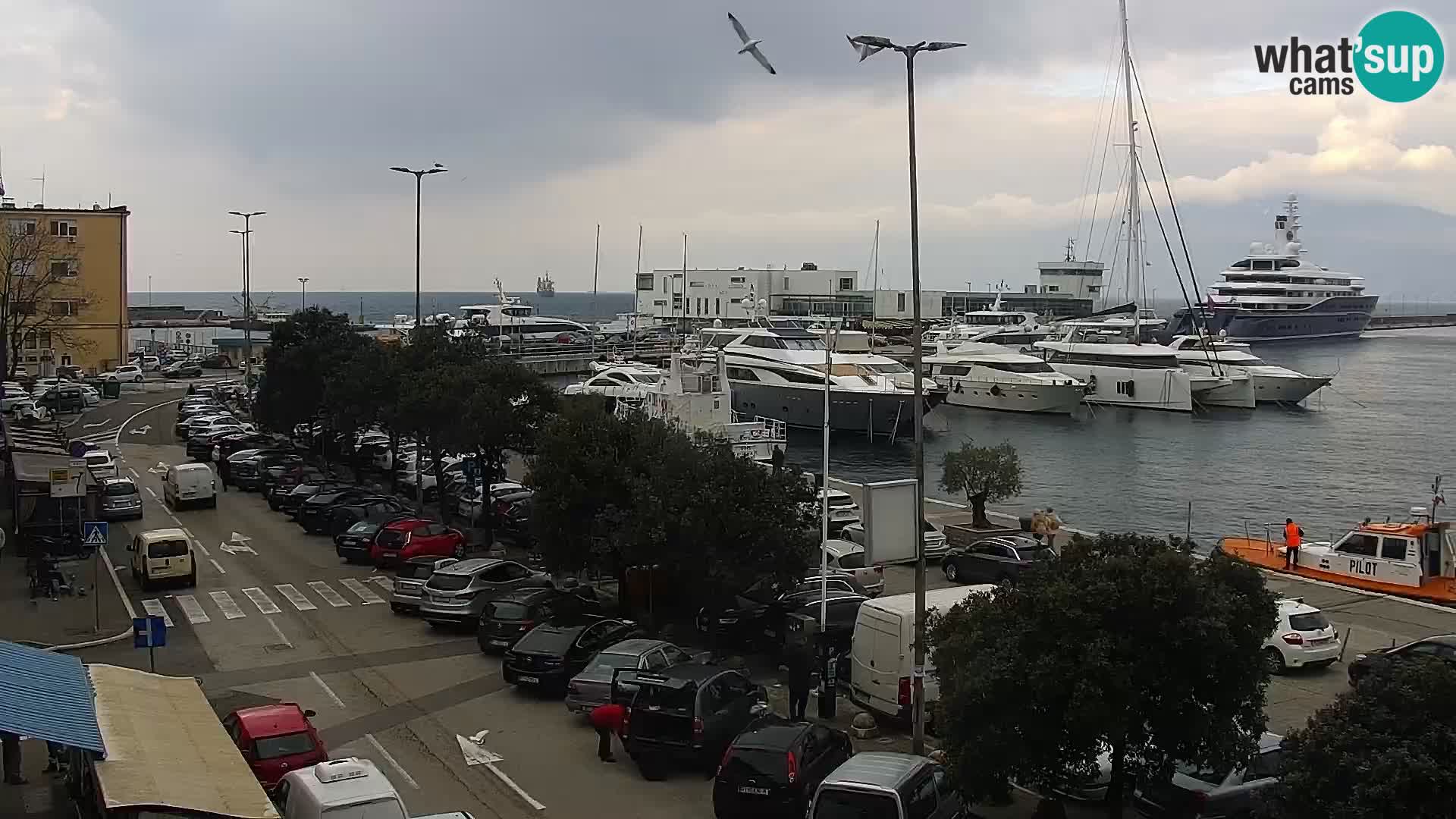 Die Riva und Marina in Rijeka – Live Webcam Kroatien