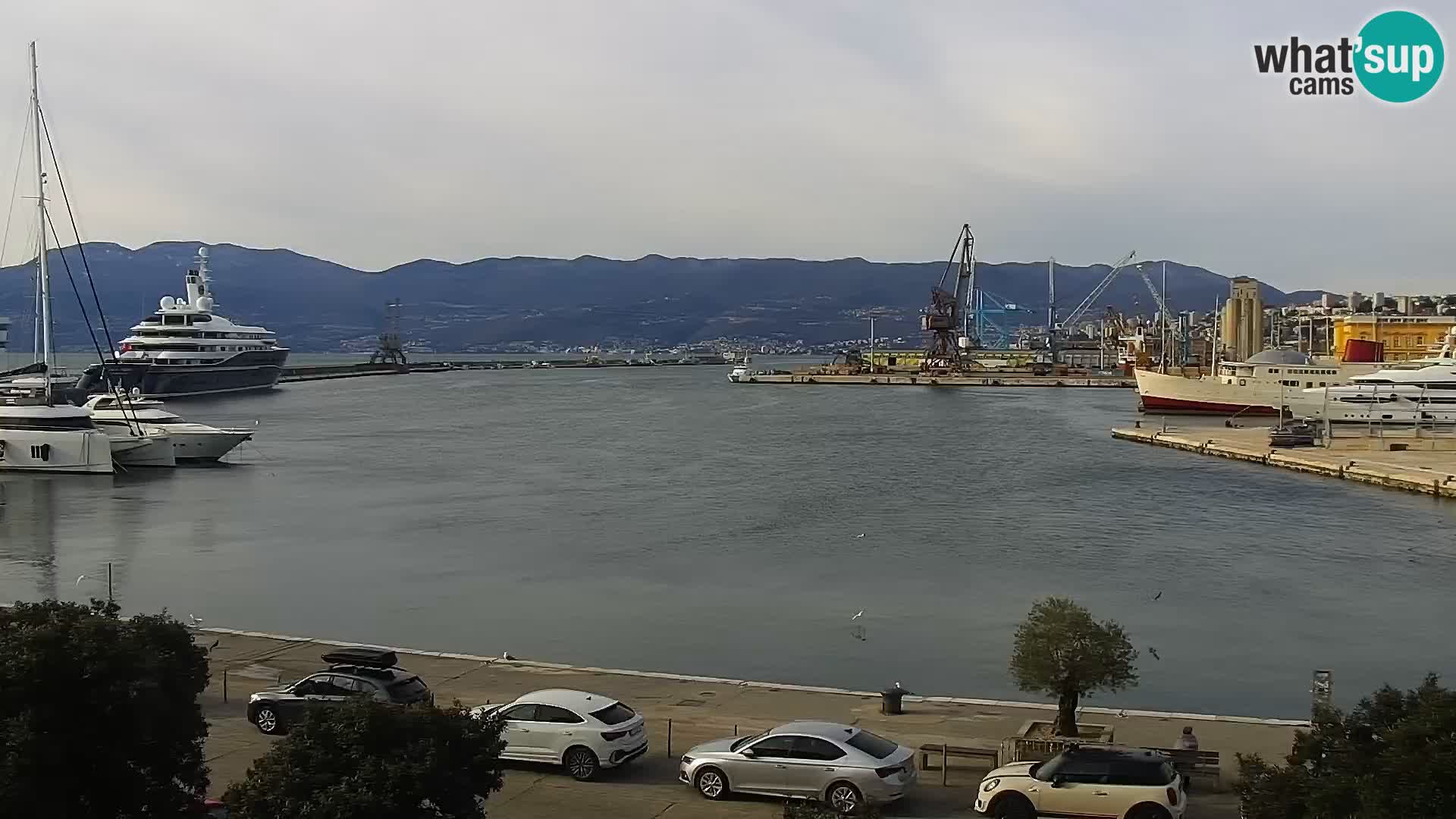 La Riva et Marina à Rijeka – Live Webcam Croatie