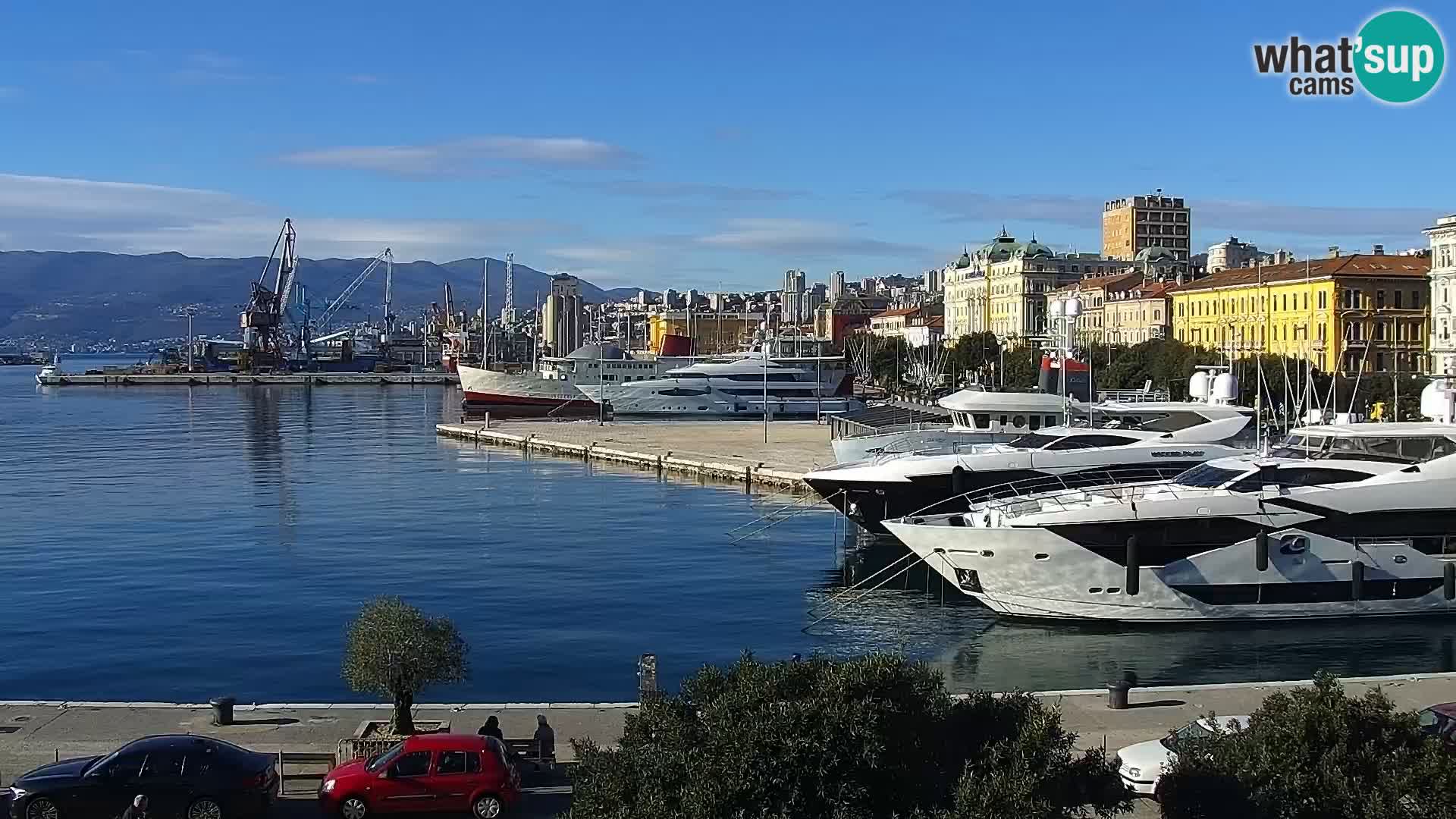 The Riva and Marina in Rijeka  – Live Webcam Croatia