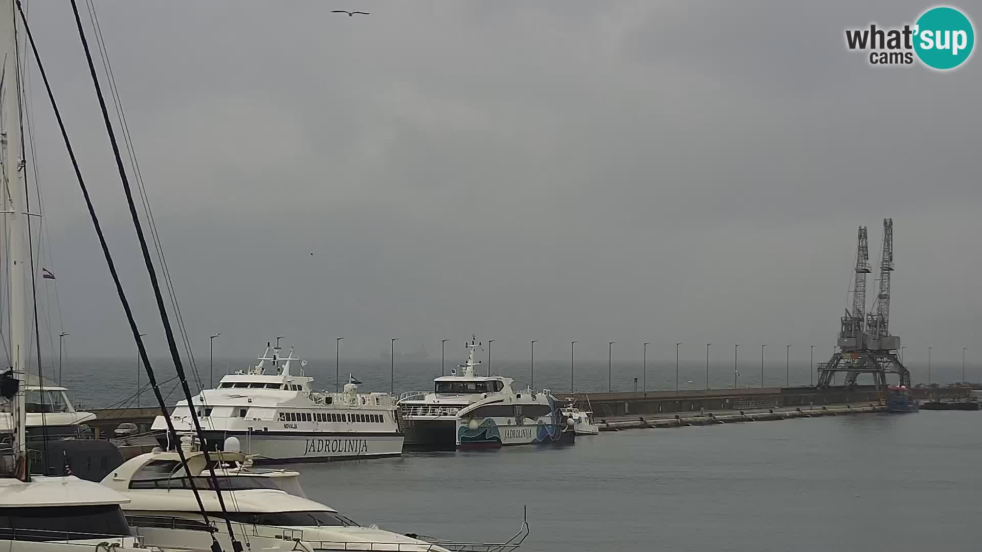 La Riva e la Marina a Rijeka (Fiume) – Live Webcam Croazia