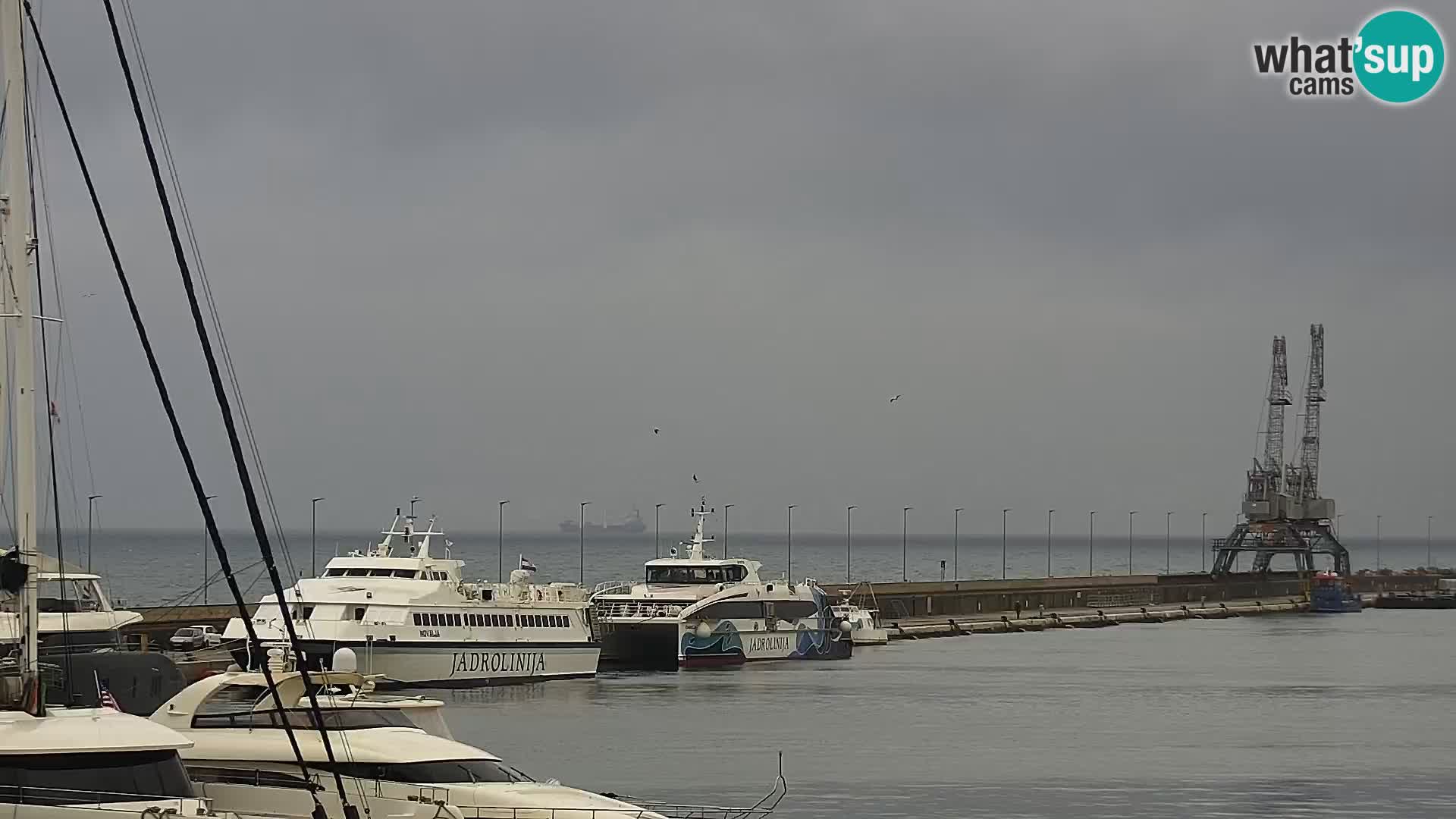 The Riva and Marina in Rijeka  – Live Webcam Croatia