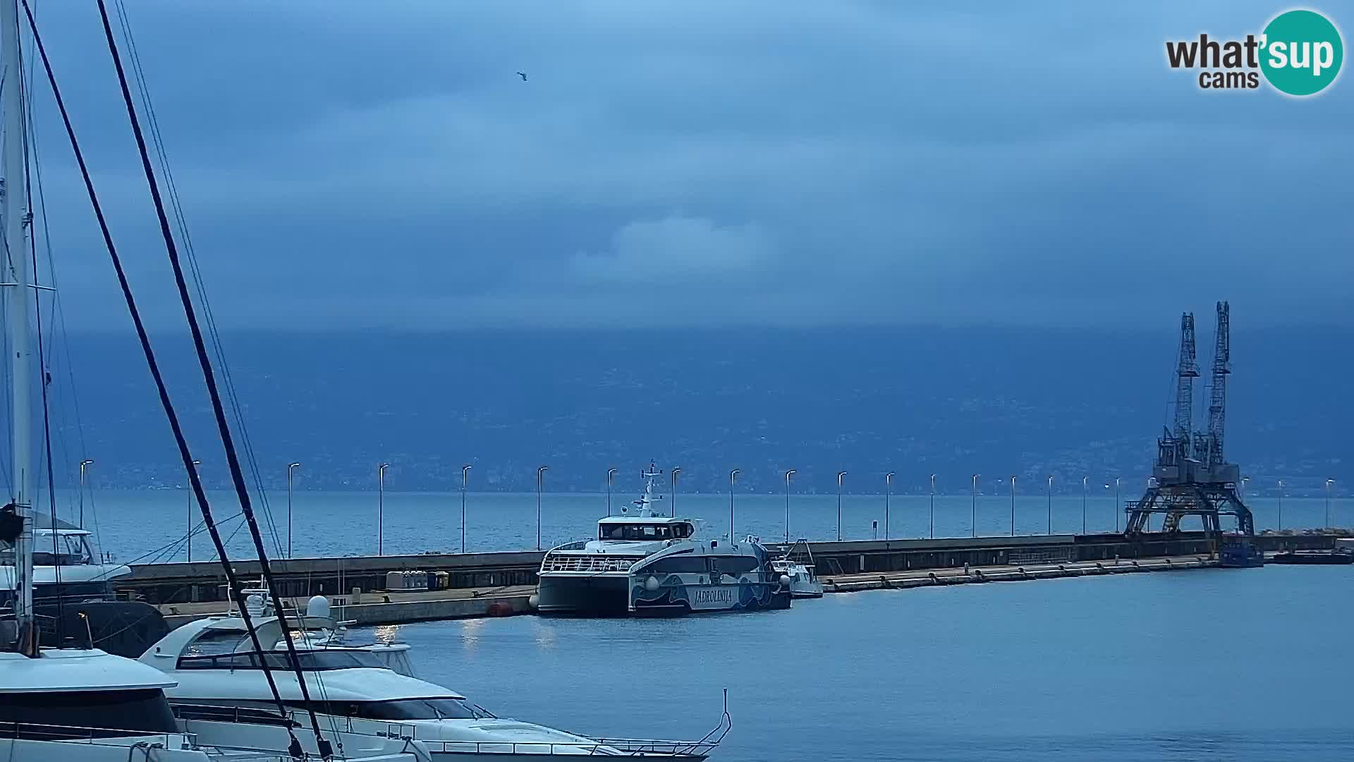 Rijeka – port et Riva