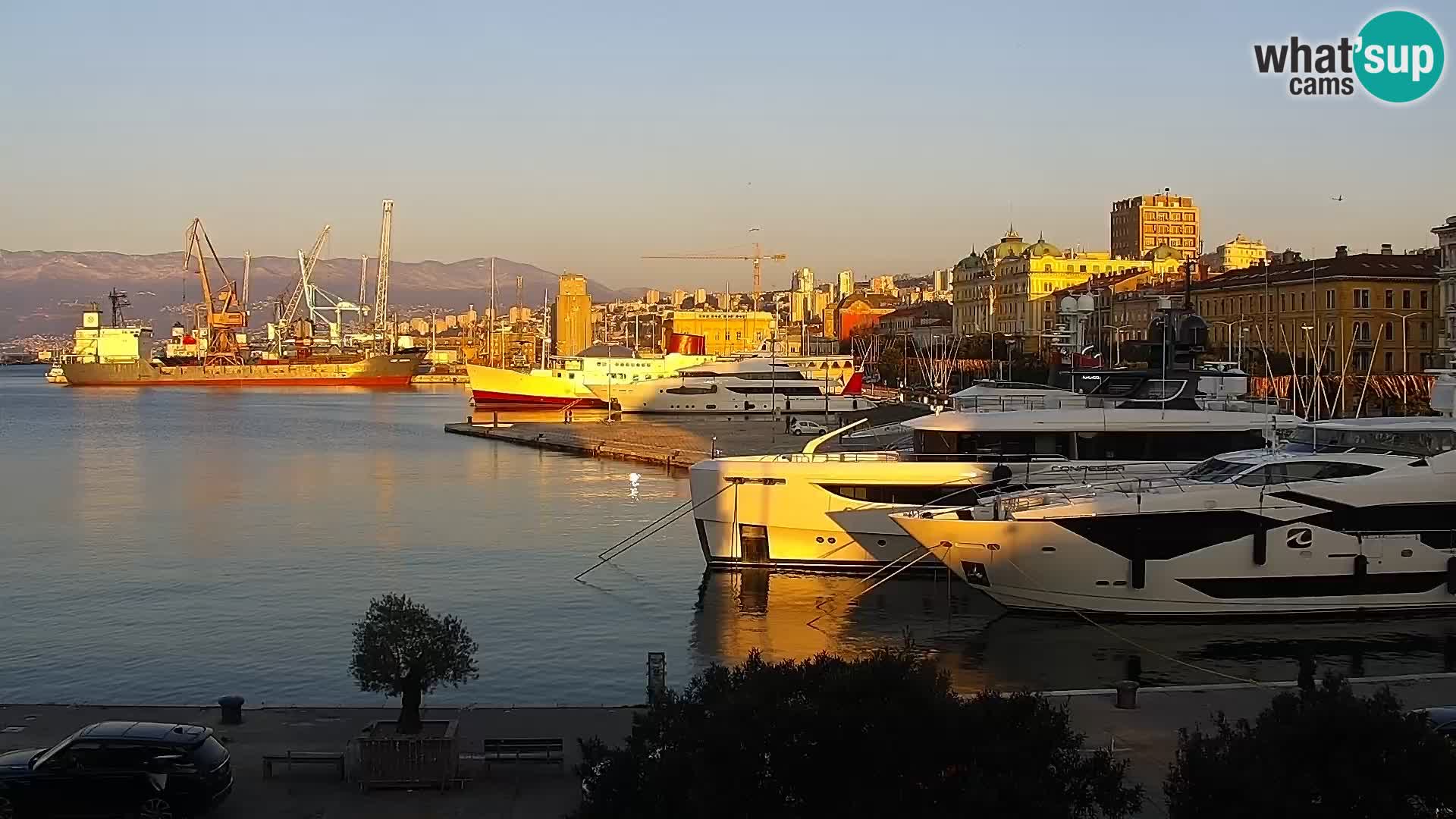 Die Riva und Marina in Rijeka – Live Webcam Kroatien