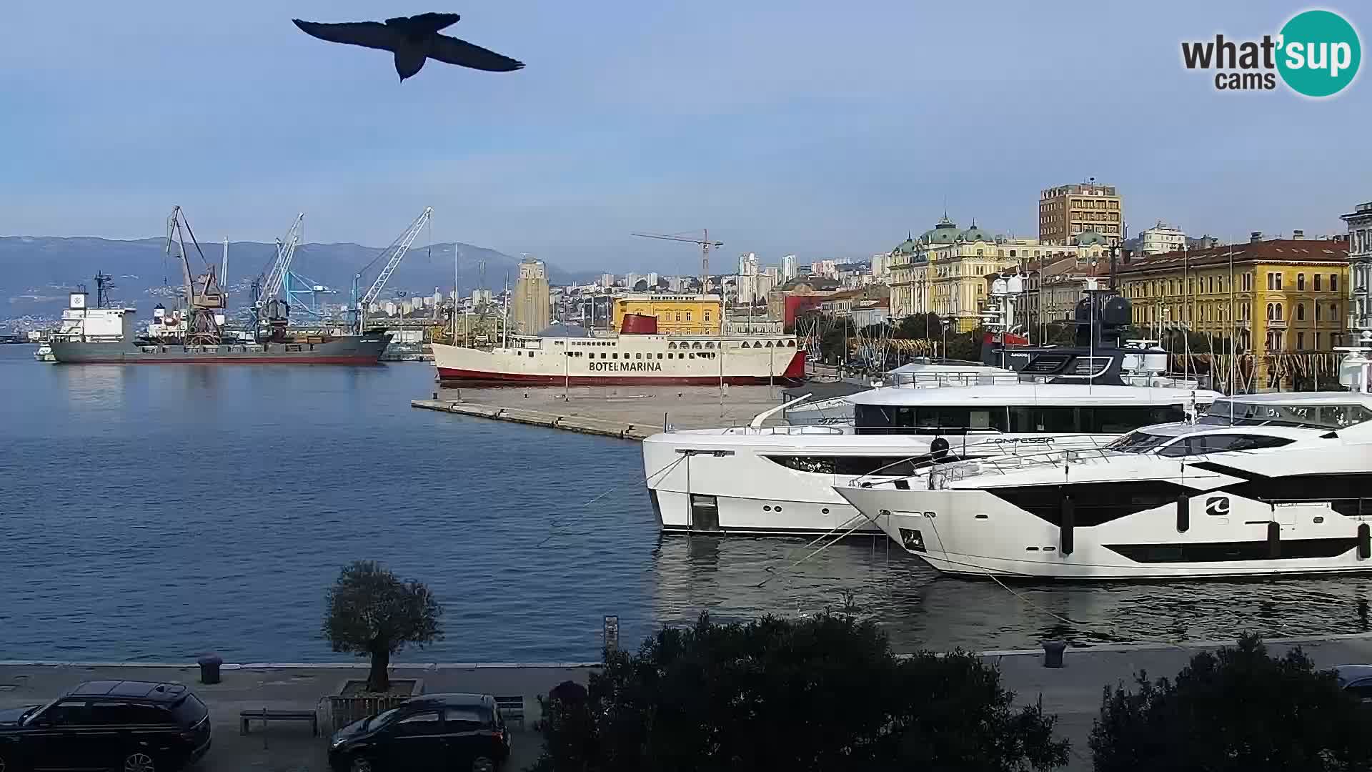 Die Riva und Marina in Rijeka – Live Webcam Kroatien