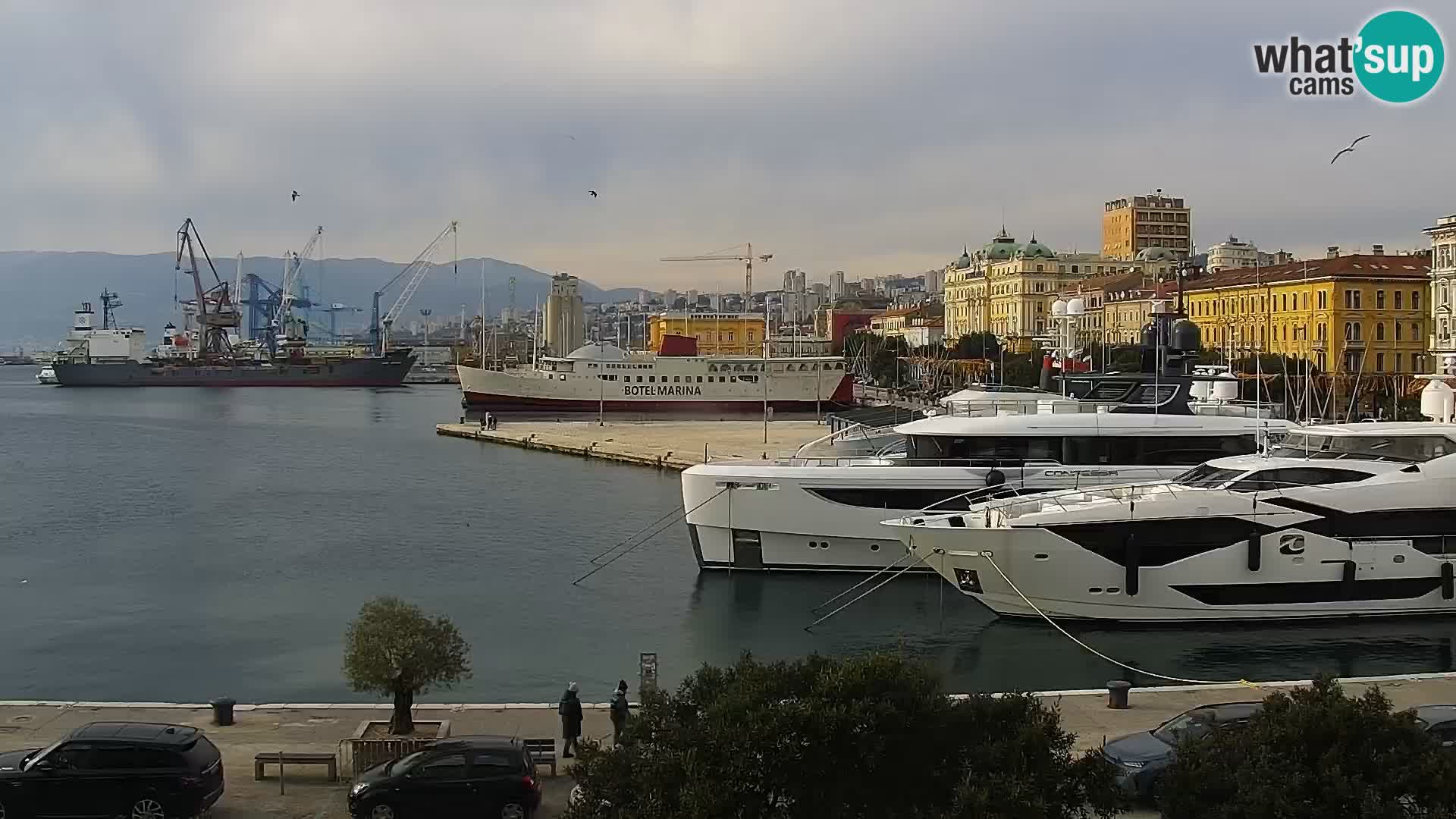 The Riva and Marina in Rijeka  – Live Webcam Croatia