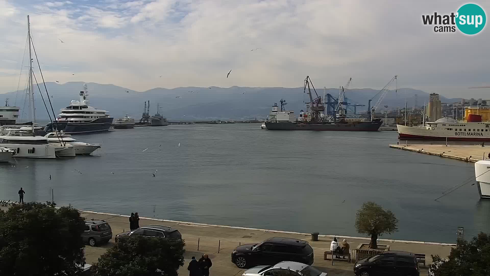 Webcam European Coastal Airlines – Rijeka