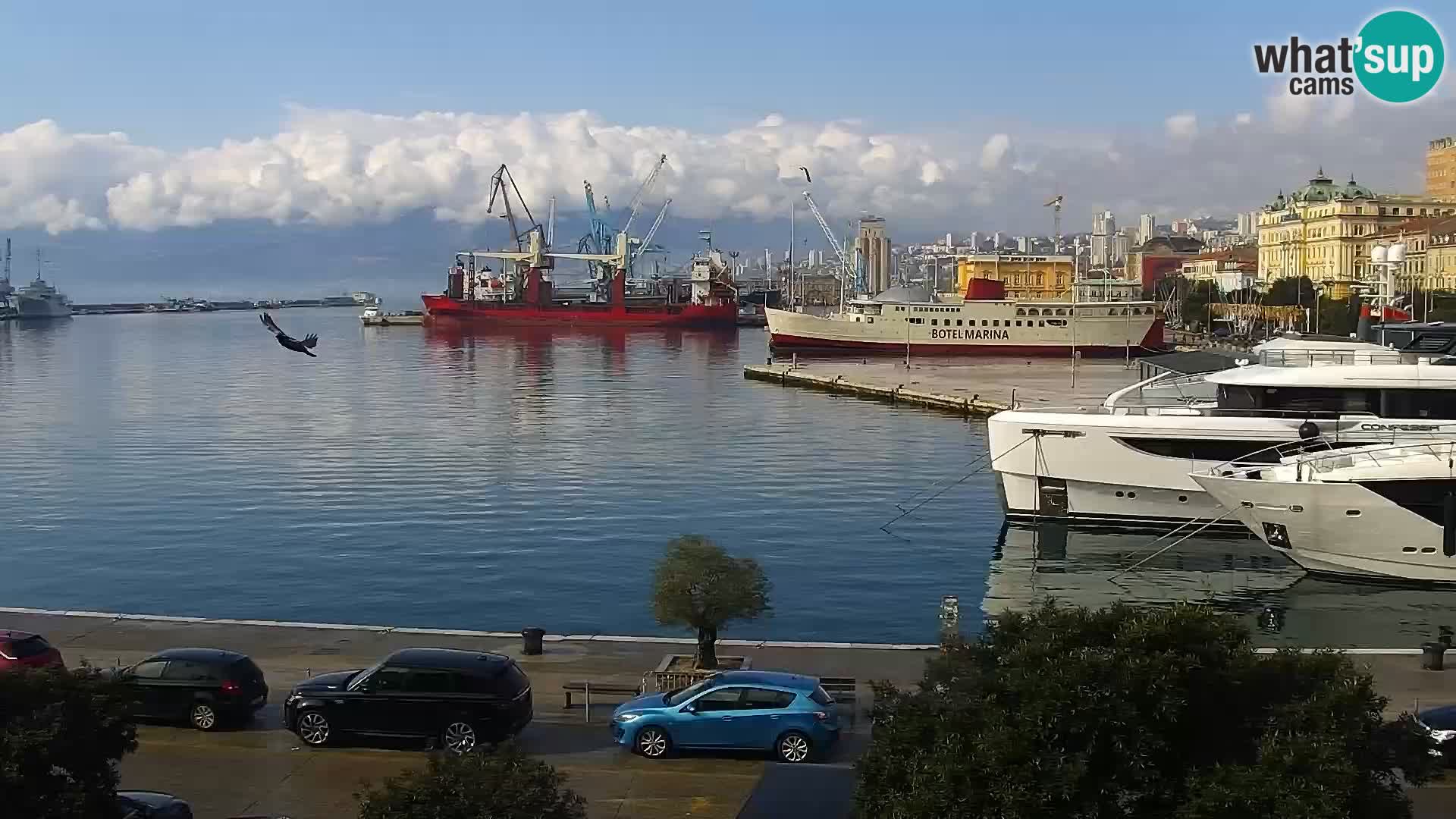 La Riva y Marina en Rijeka – Webcam en vivo Croacia