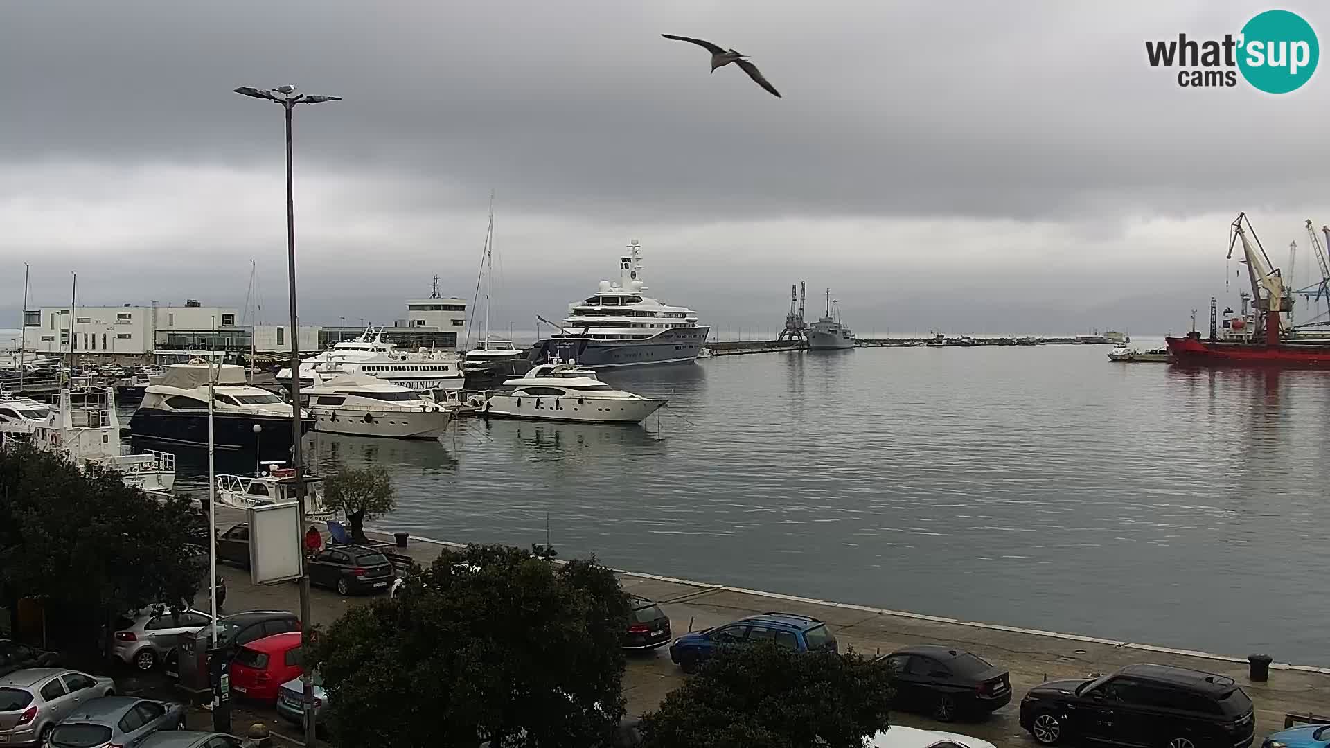 Die Riva und Marina in Rijeka – Live Webcam Kroatien