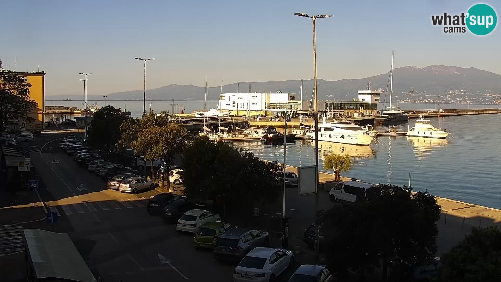 Riva i Marina u Rijeci – Web kamera uživo u Hrvatskoj