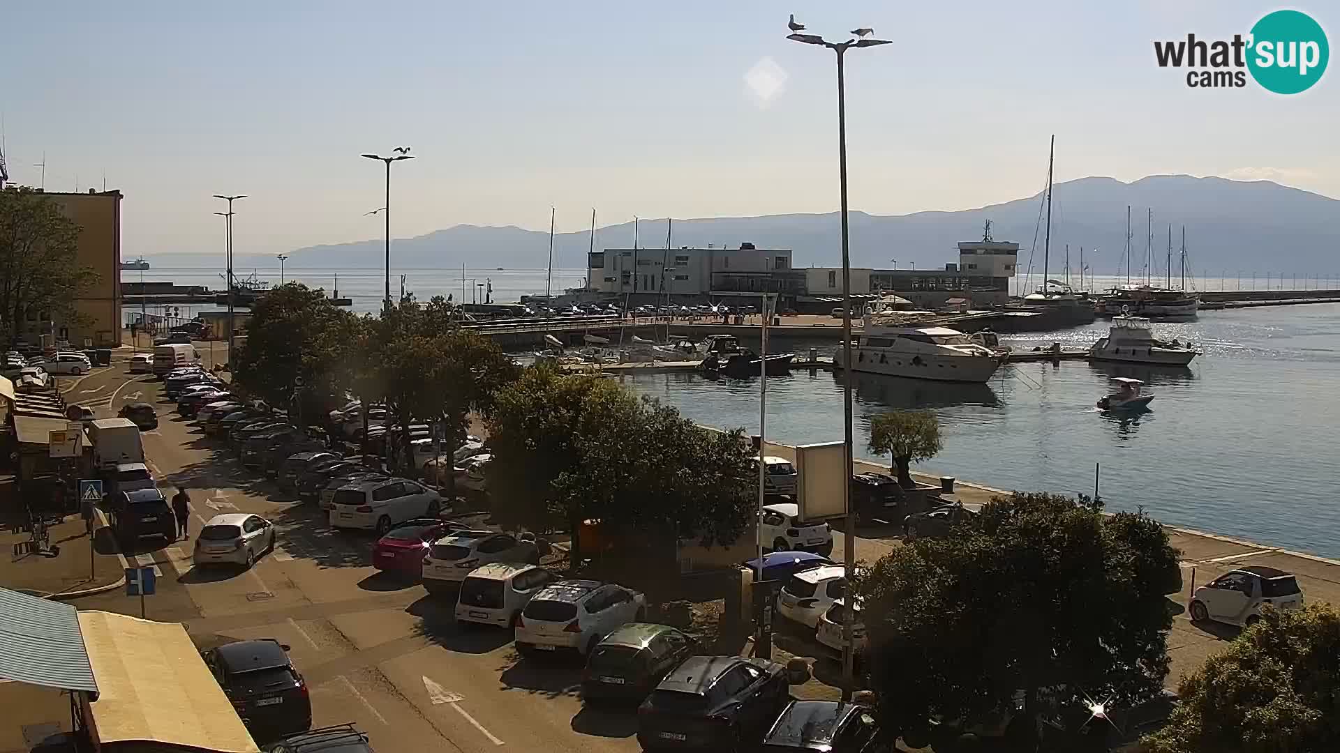 Riva i Marina u Rijeci – Web kamera uživo u Hrvatskoj