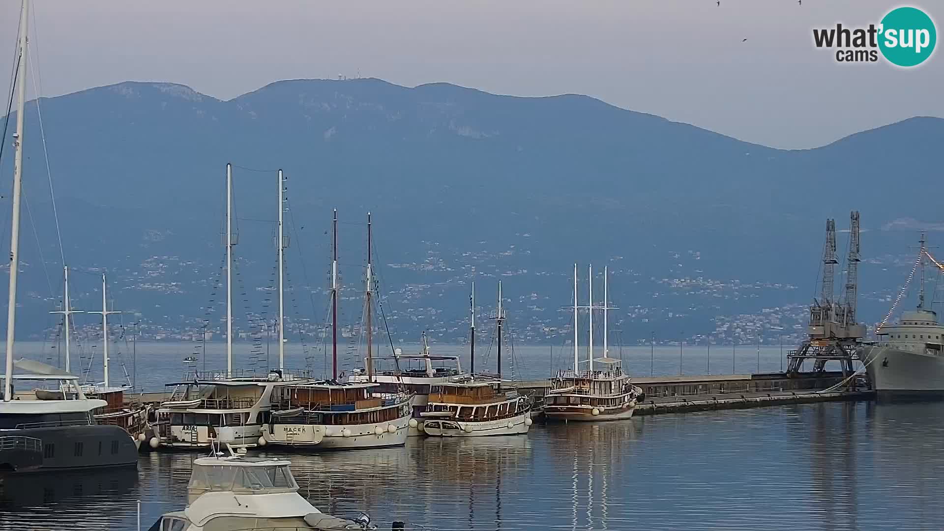 La Riva e la Marina a Rijeka (Fiume) – Live Webcam Croazia