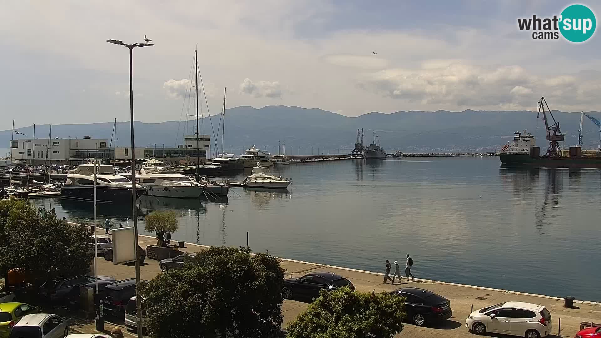 Die Riva und Marina in Rijeka – Live Webcam Kroatien