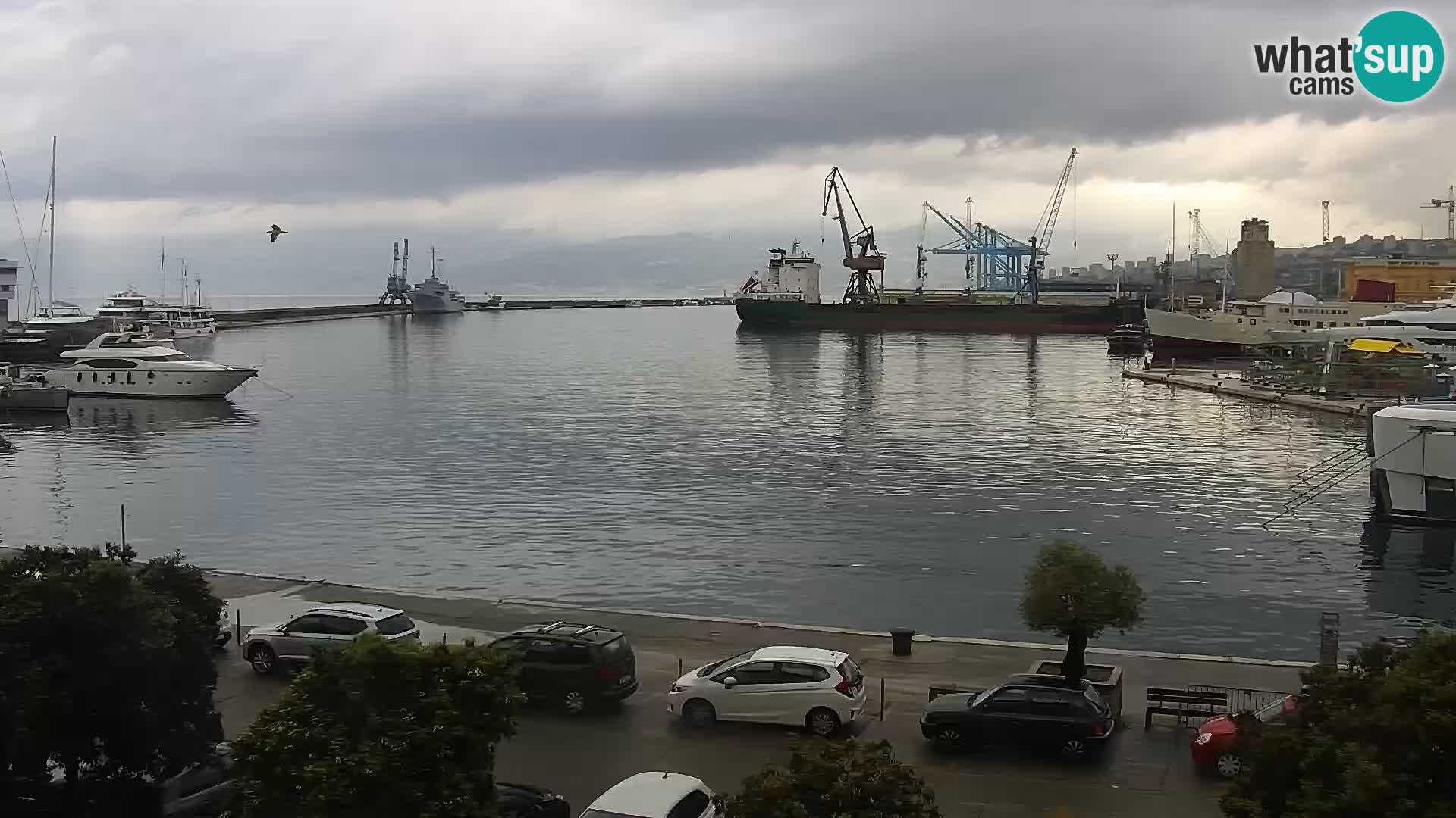 La Riva y Marina en Rijeka – Webcam en vivo Croacia