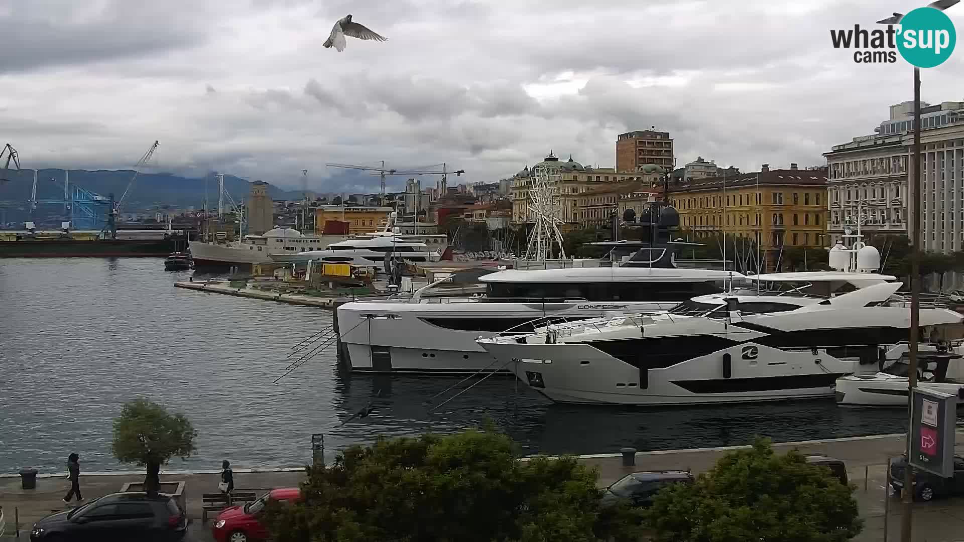 Riva in Marina v Reki – Spletna kamera v živo Hrvaška