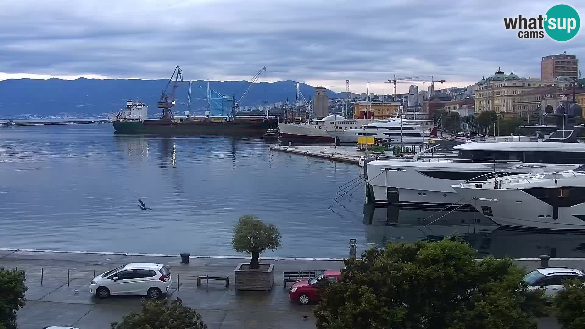 Riva in Marina v Reki – Spletna kamera v živo Hrvaška