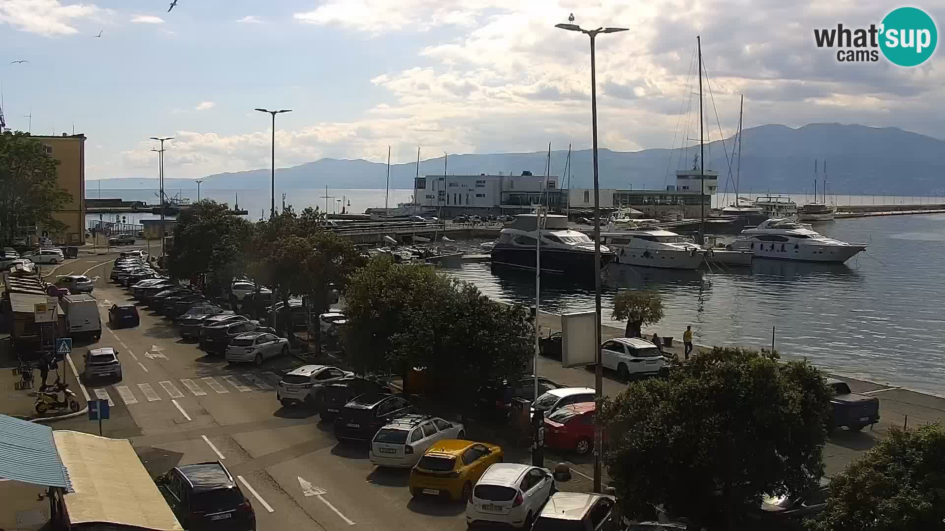 Rijeka – luka i ulica Riva