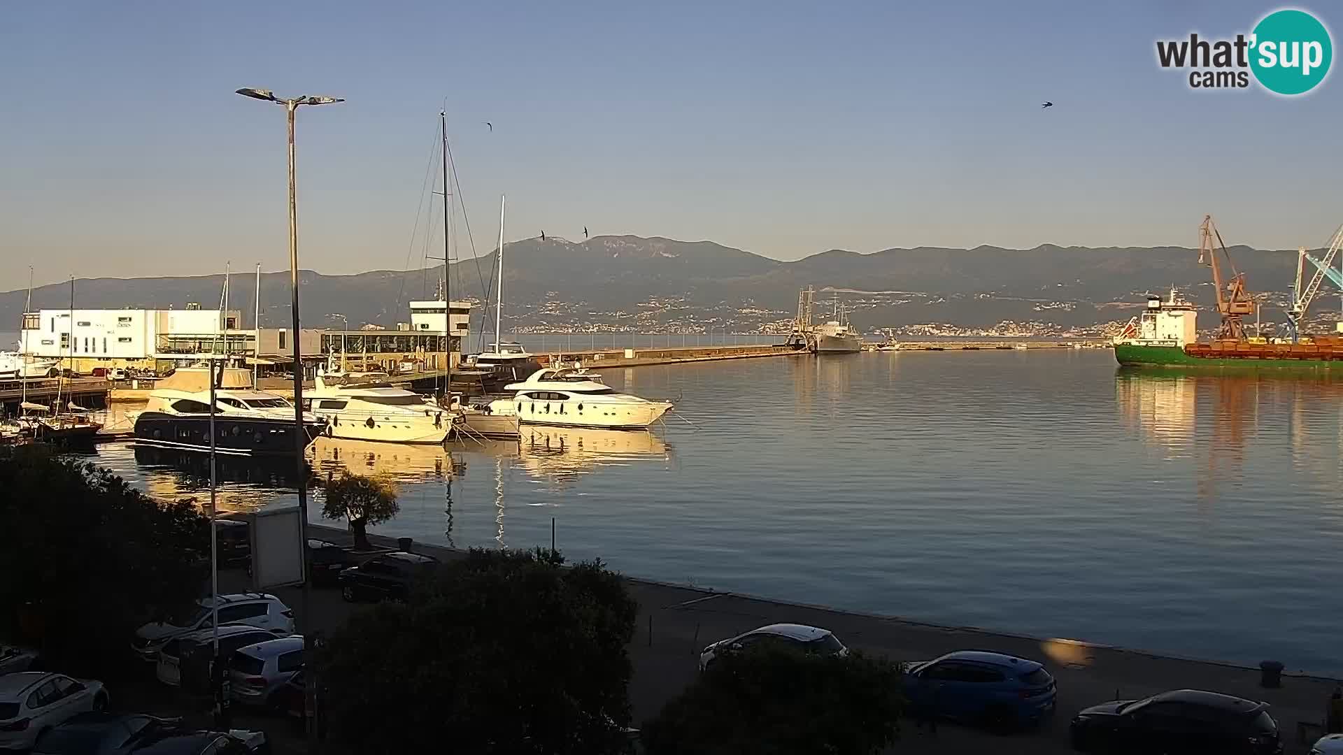 Fiume – Il porto e la Riva
