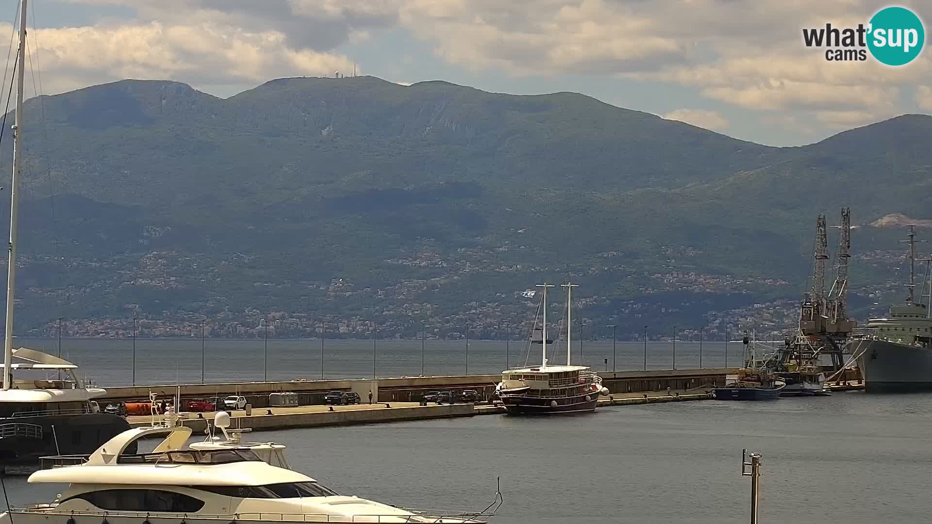 La Riva y Marina en Rijeka – Webcam en vivo Croacia