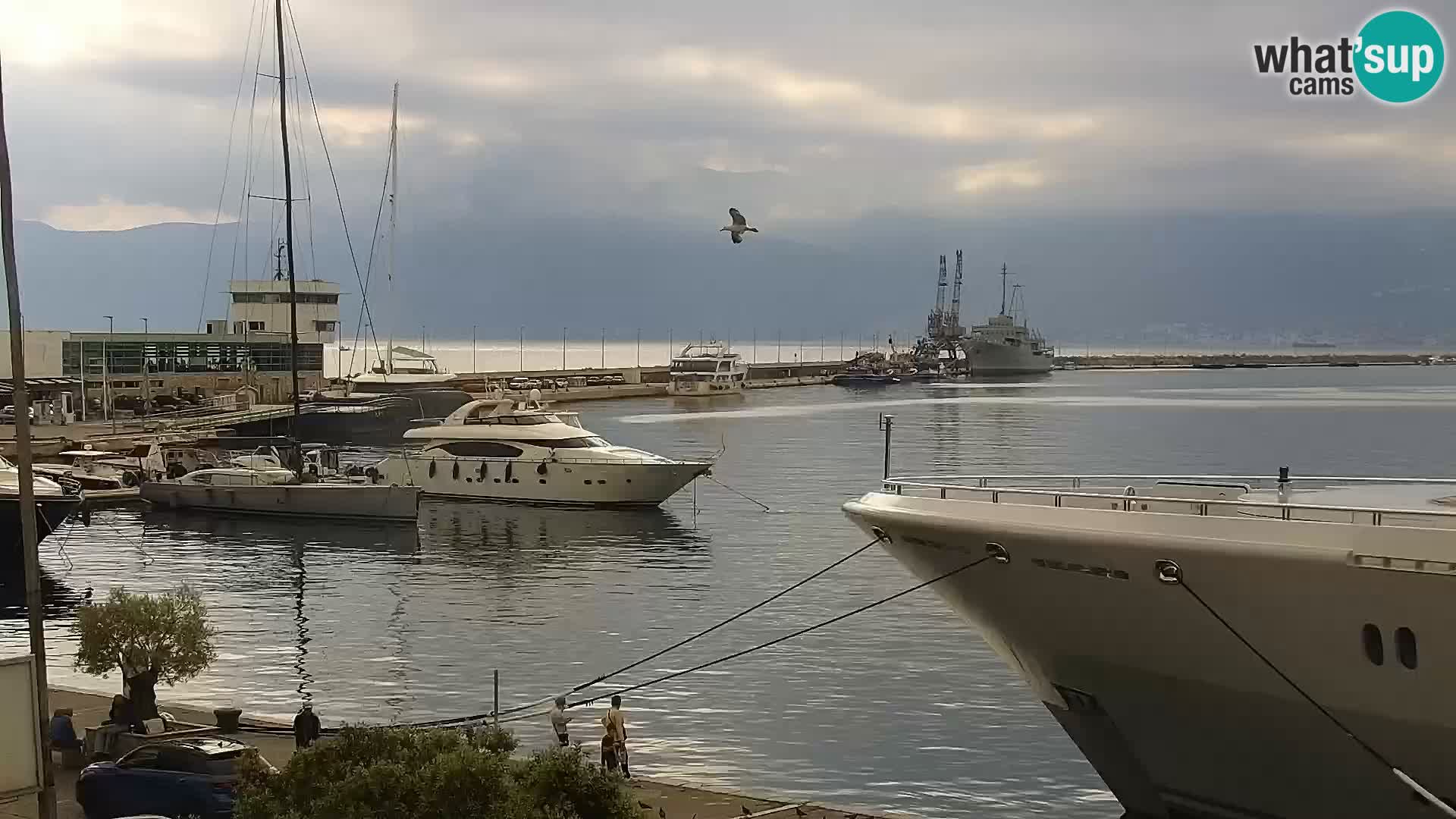 Rijeka – luka i ulica Riva