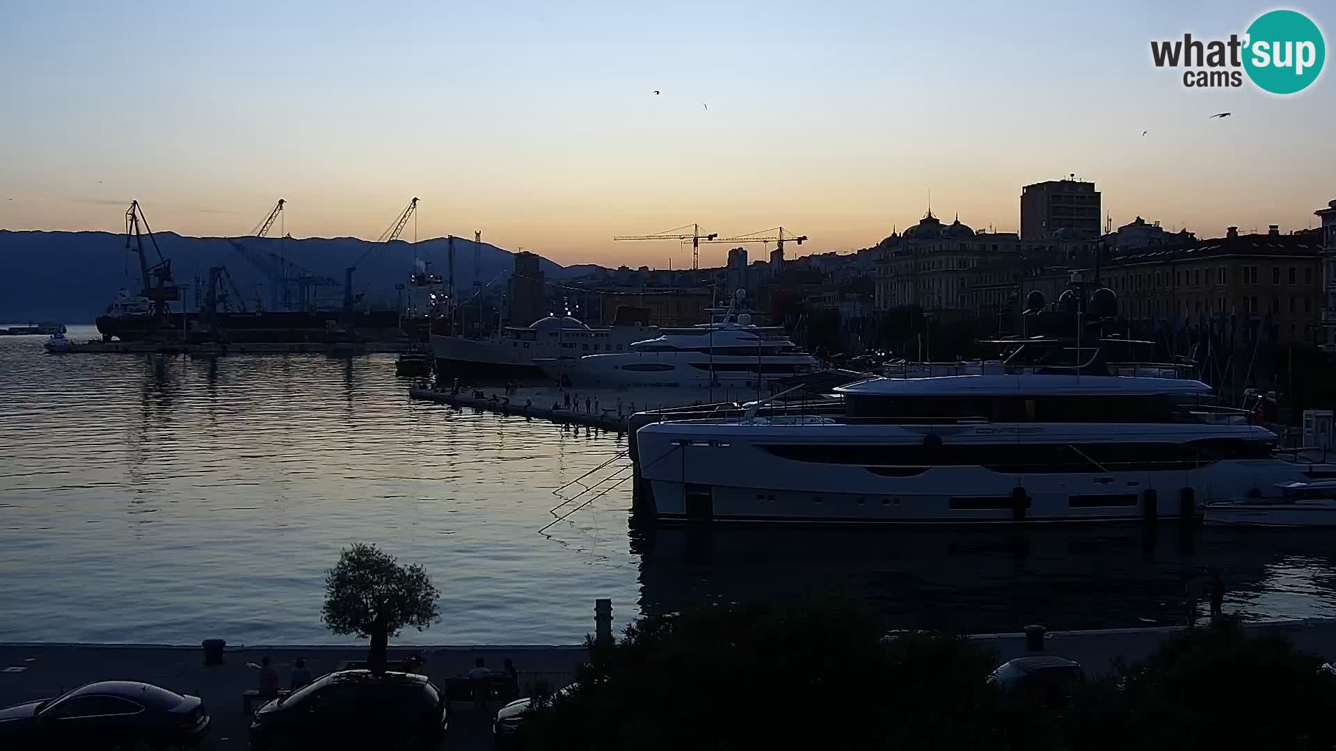 Riva i Marina u Rijeci – Web kamera uživo u Hrvatskoj