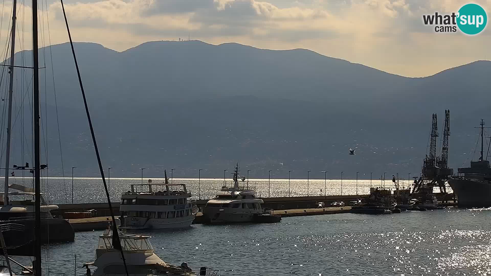 La Riva y Marina en Rijeka – Webcam en vivo Croacia