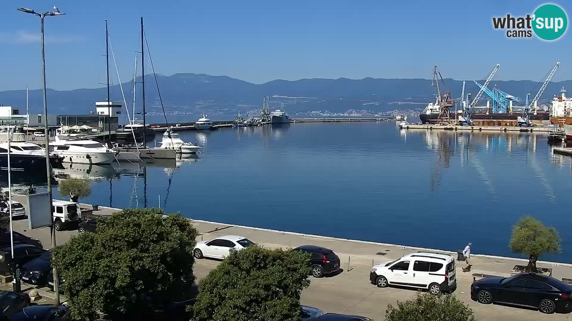 Die Riva und Marina in Rijeka – Live Webcam Kroatien
