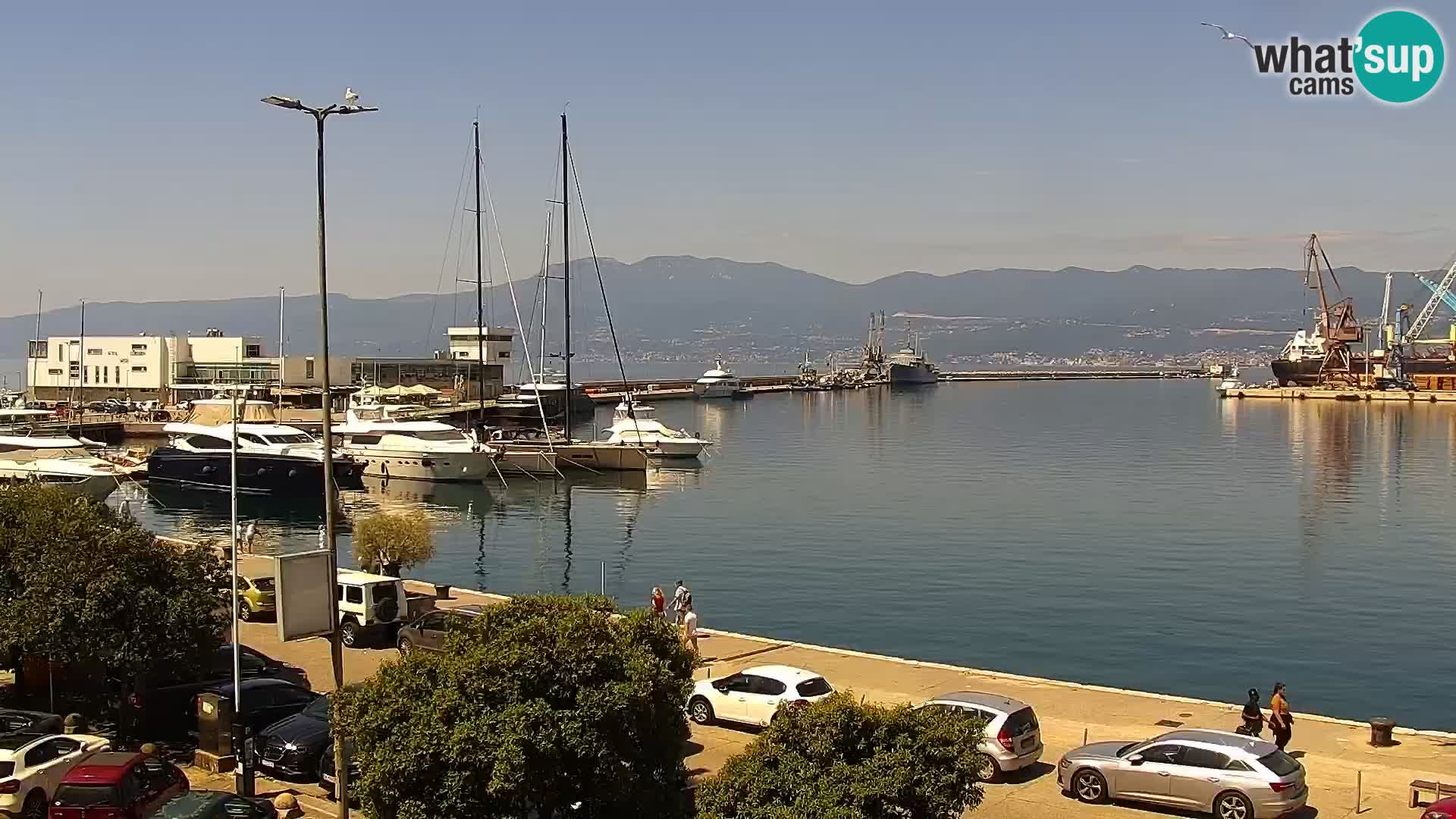 The Riva and Marina in Rijeka  – Live Webcam Croatia