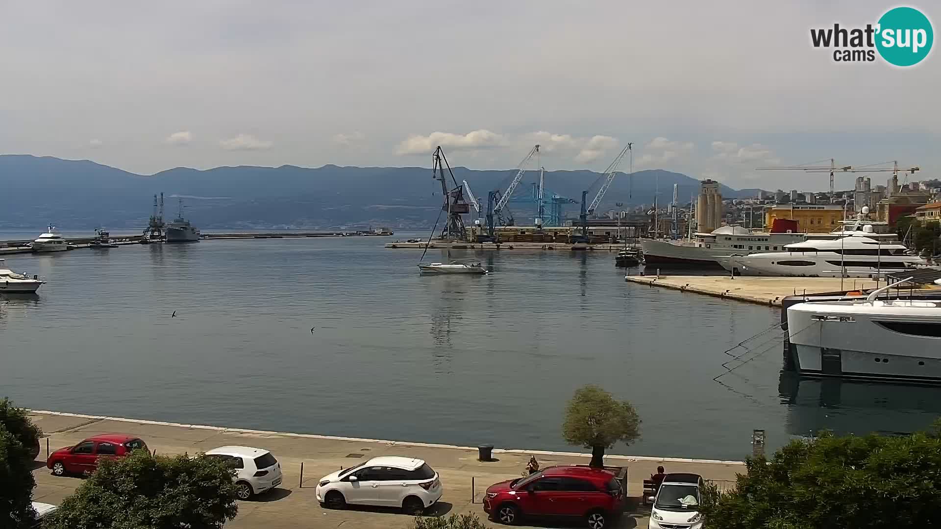 La Riva y Marina en Rijeka – Webcam en vivo Croacia