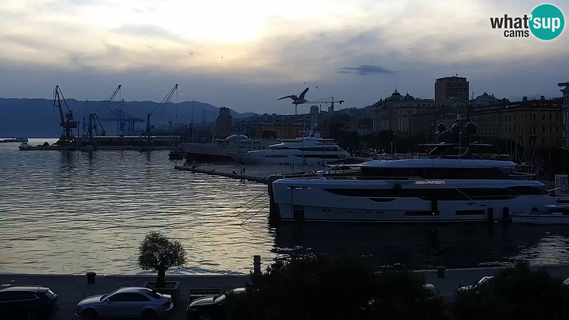 La Riva y Marina en Rijeka – Webcam en vivo Croacia
