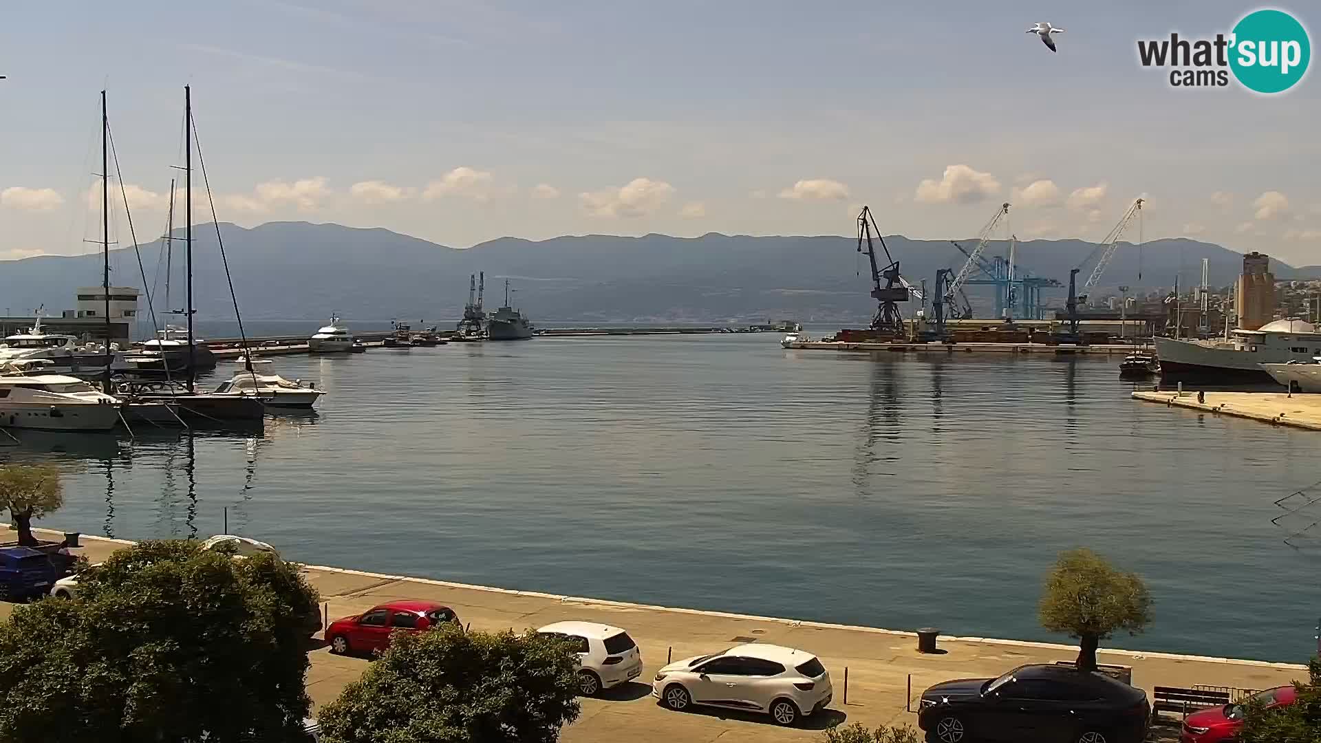 La Riva e la Marina a Rijeka (Fiume) – Live Webcam Croazia