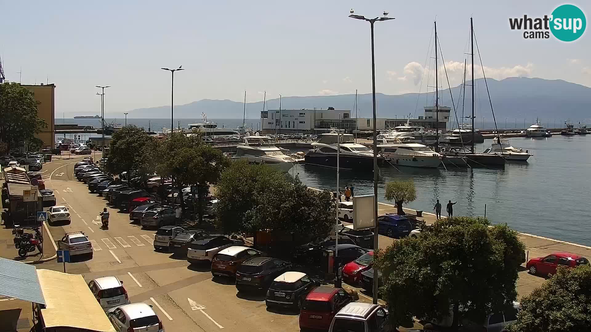 La Riva y Marina en Rijeka – Webcam en vivo Croacia