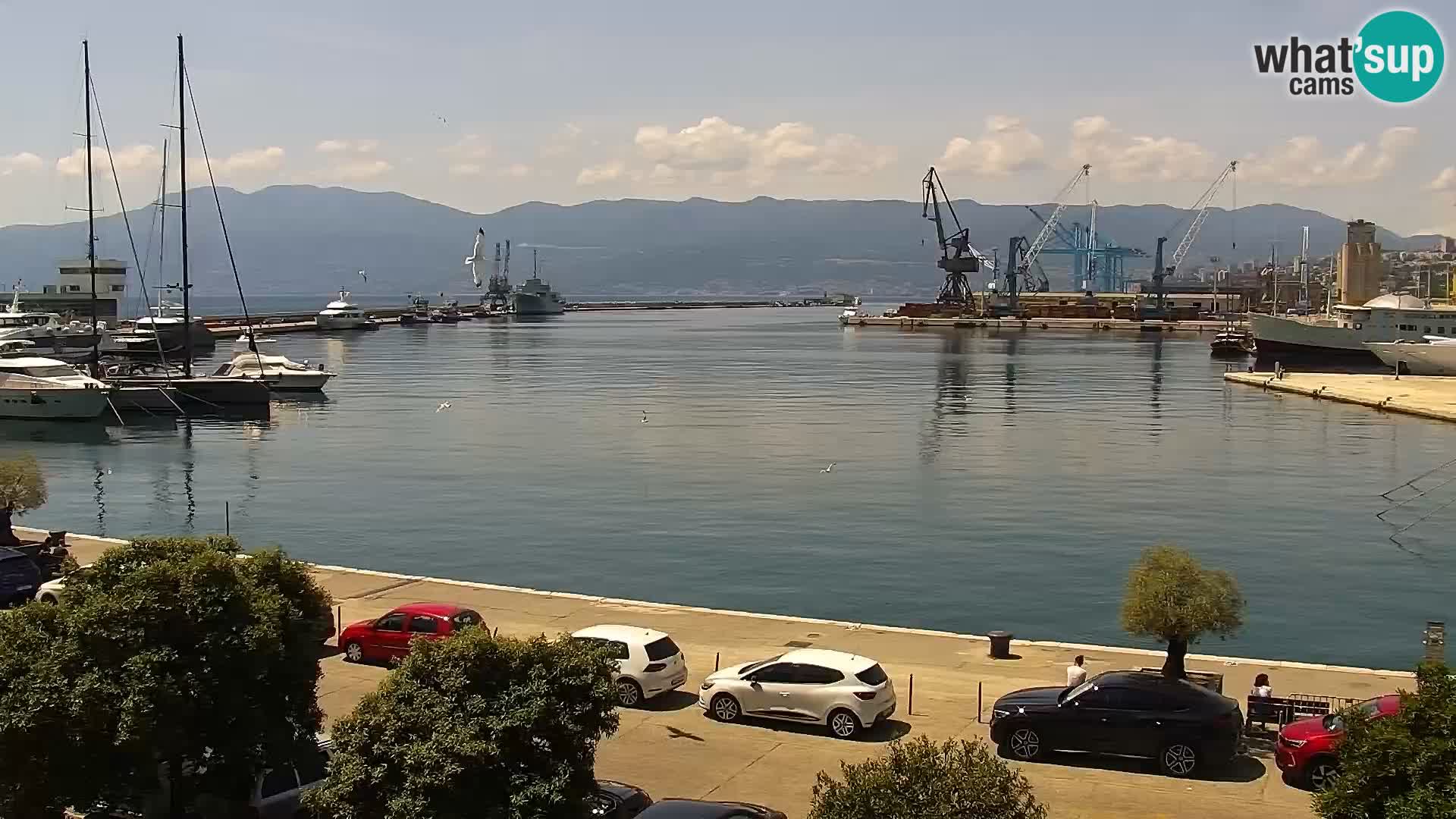 La Riva e la Marina a Rijeka (Fiume) – Live Webcam Croazia