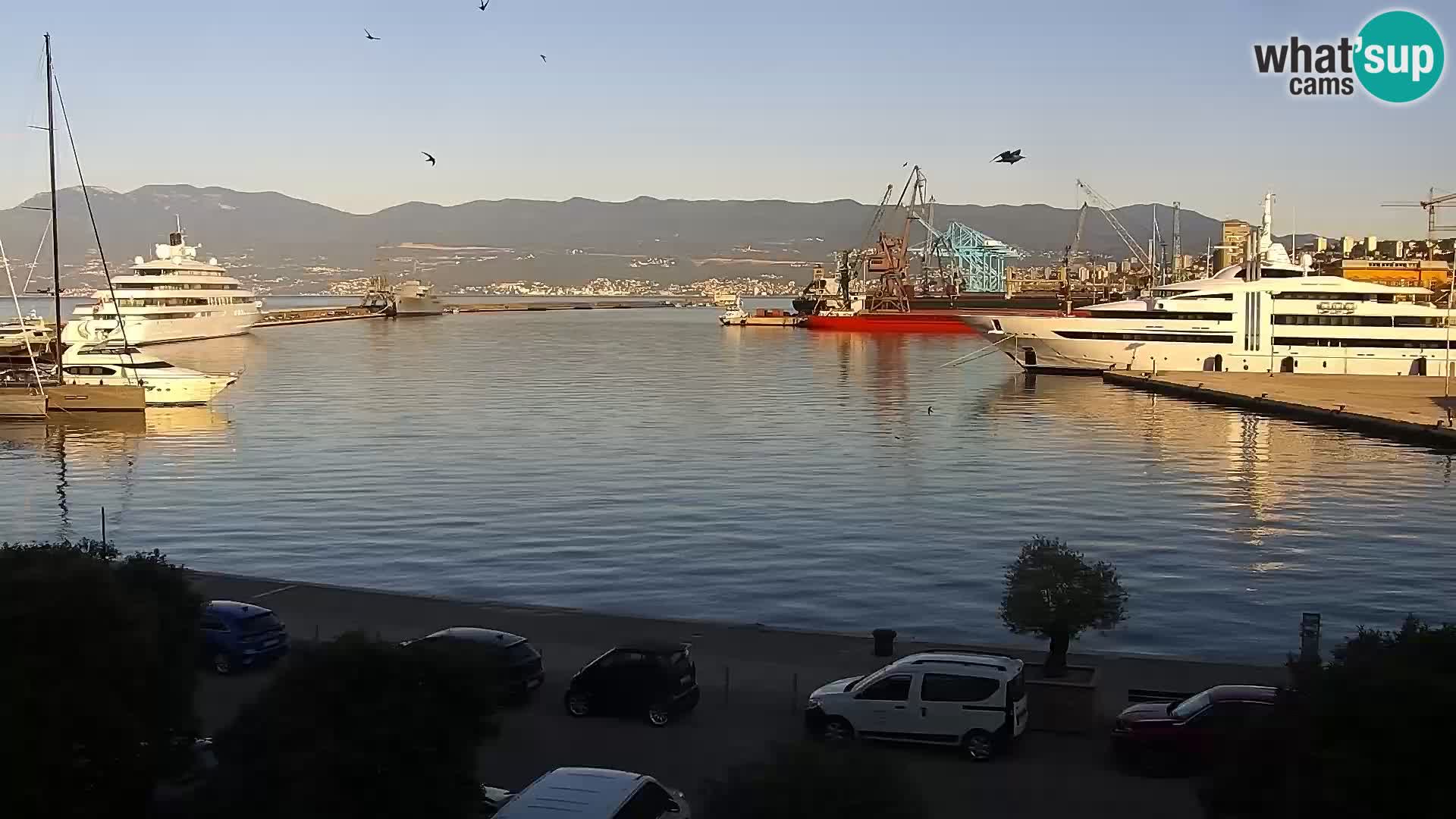 The Riva and Marina in Rijeka  – Live Webcam Croatia