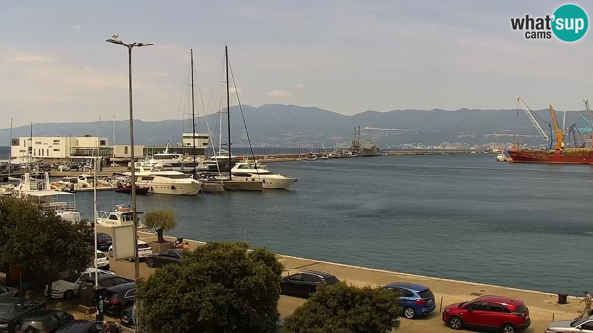 Fiume – Il porto e la Riva