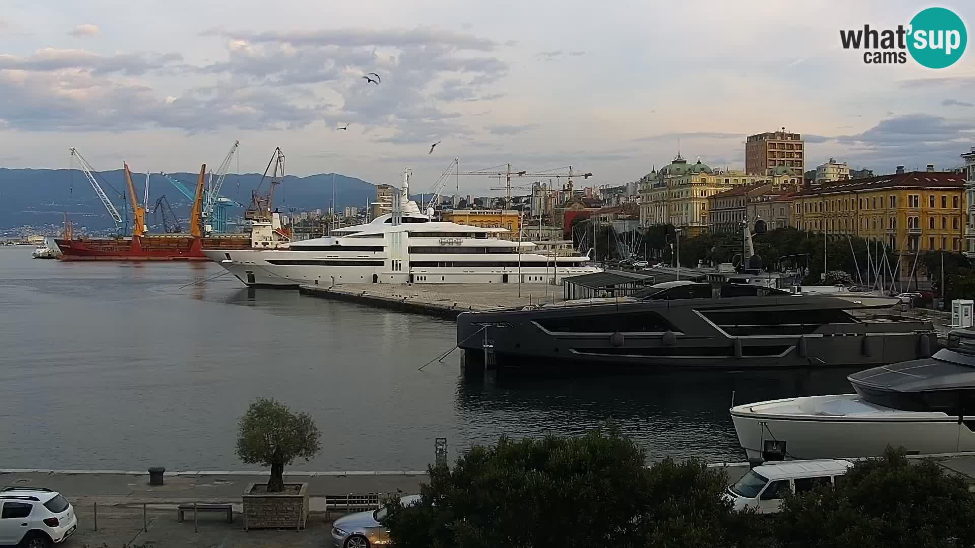 La Riva et Marina à Rijeka – Live Webcam Croatie