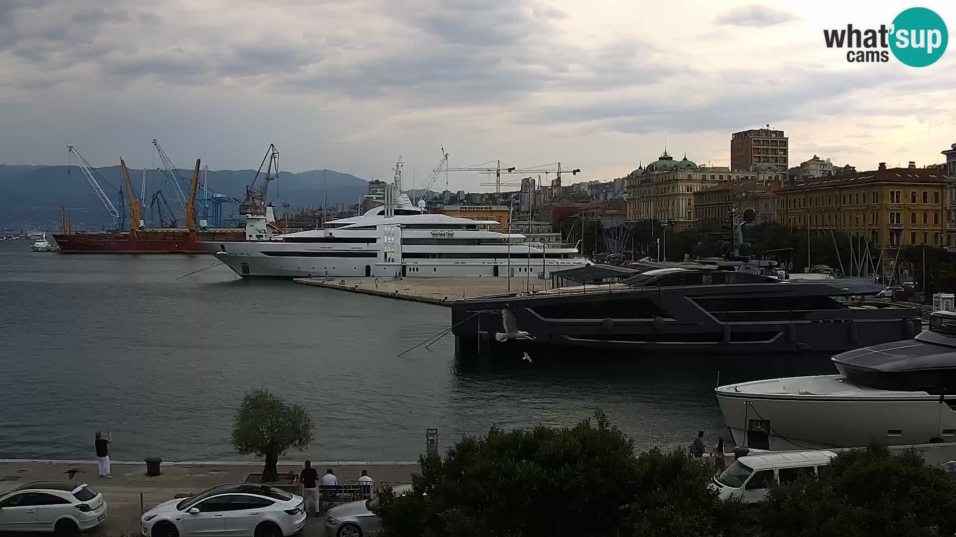 Die Riva und Marina in Rijeka – Live Webcam Kroatien