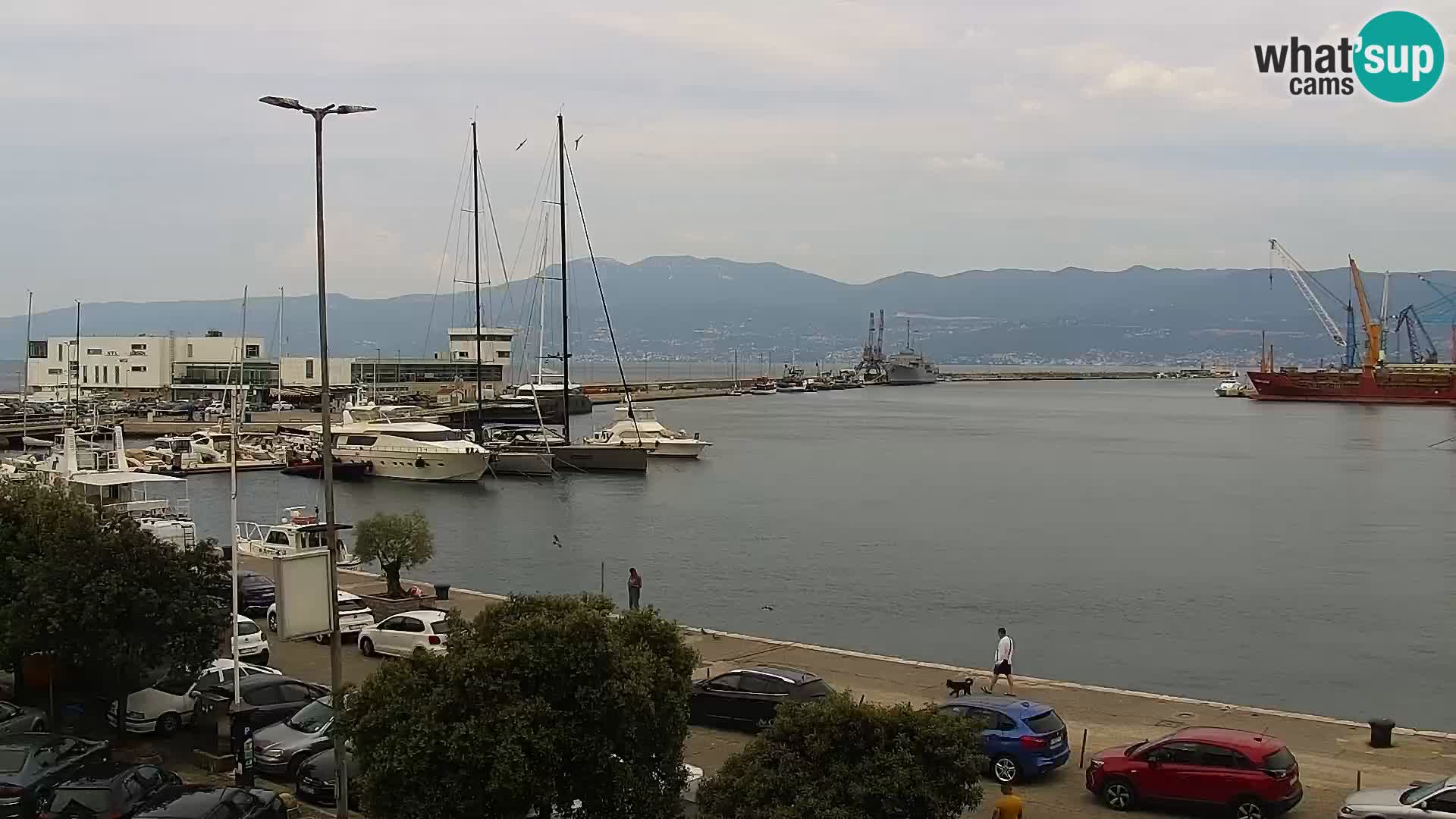 Rijeka – luka i ulica Riva