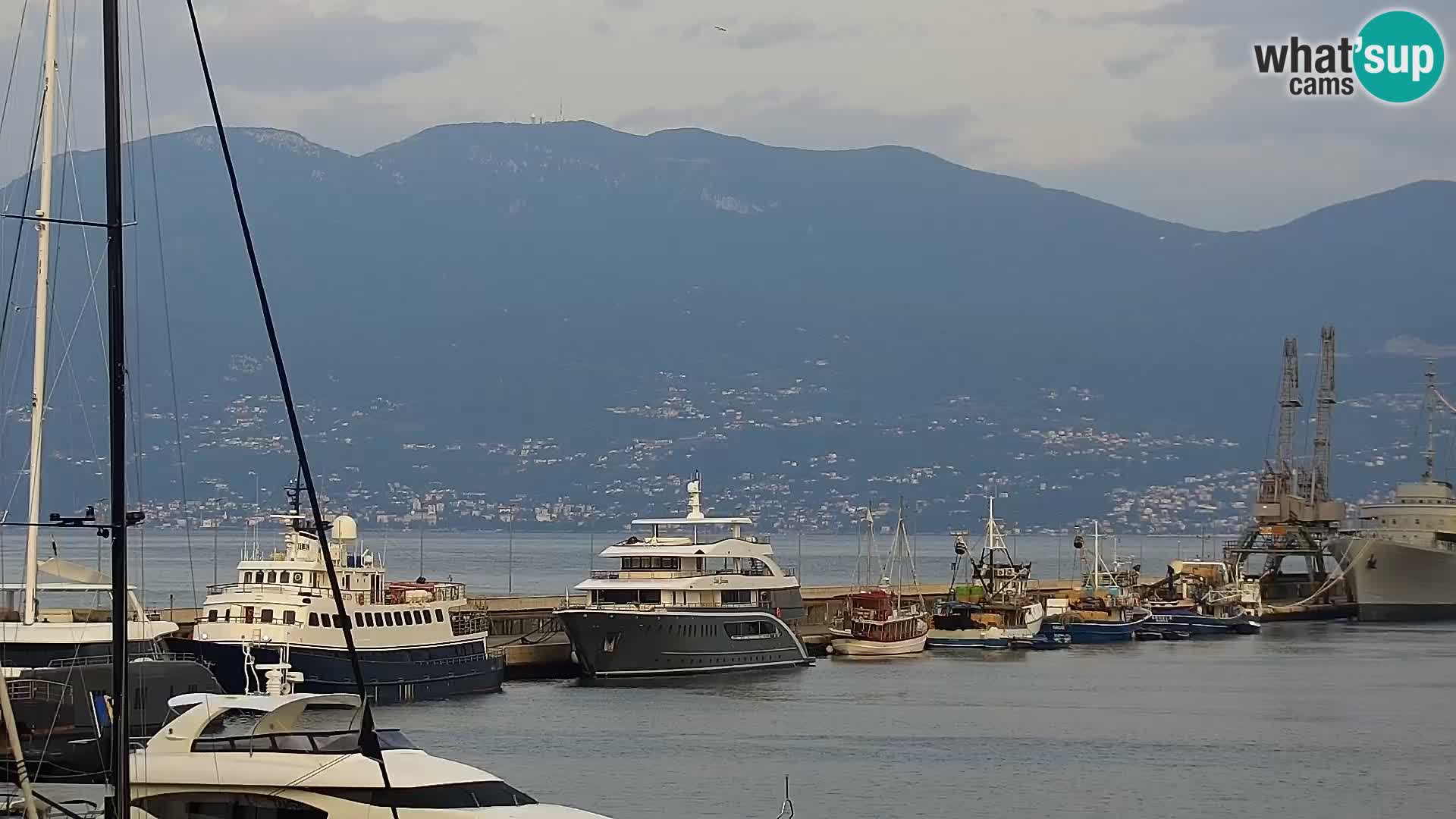 La Riva e la Marina a Rijeka (Fiume) – Live Webcam Croazia