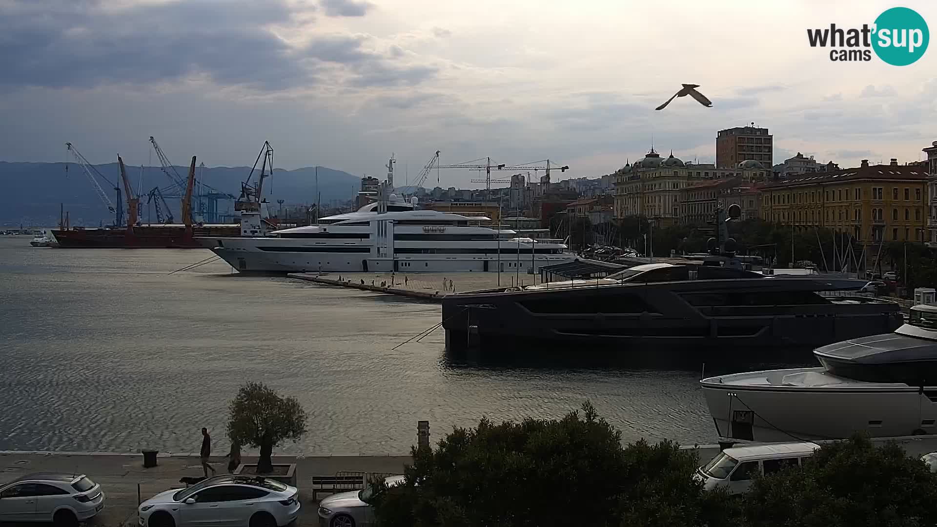 Reka – Riva in pristanišče