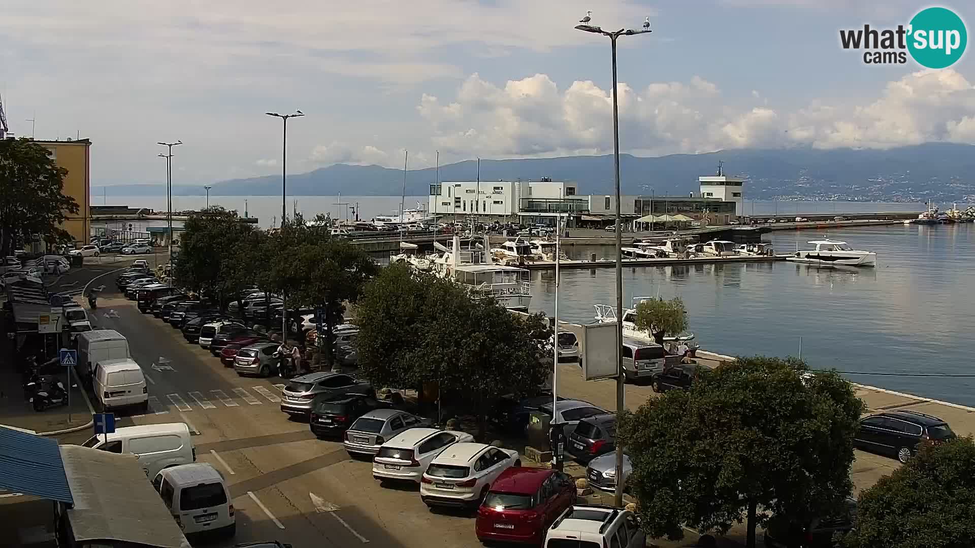 Riva i Marina u Rijeci – Web kamera uživo u Hrvatskoj