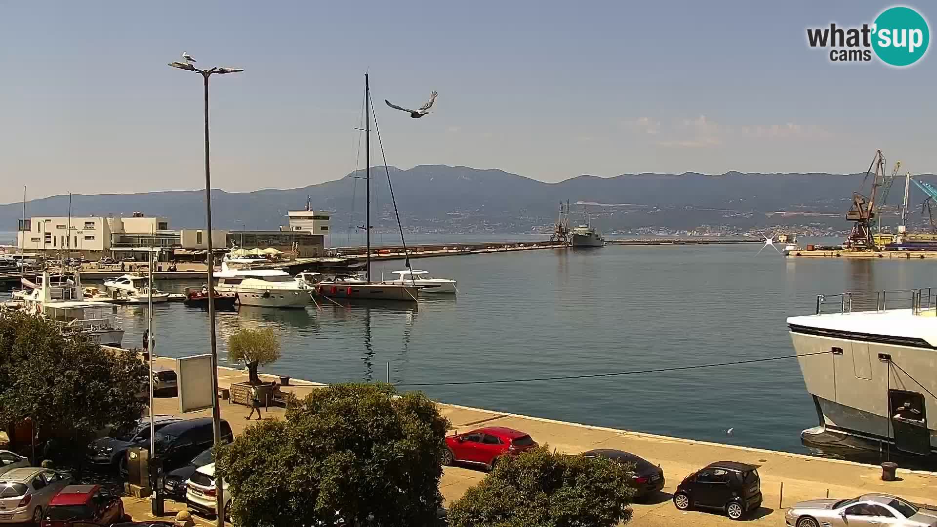 Webcam live European Coastal Airlines – Fiume